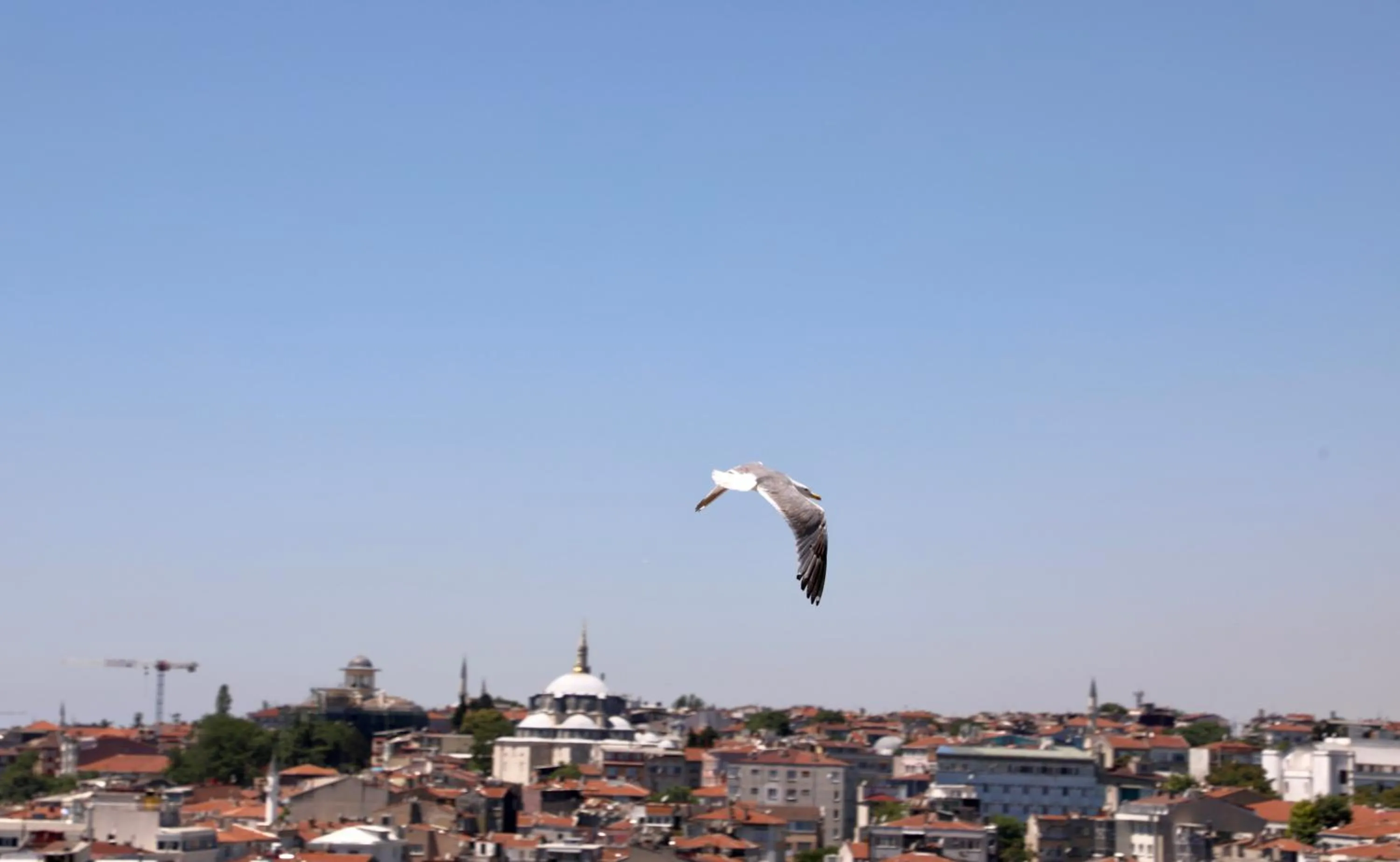 Day in Istanbul Royal Hotel