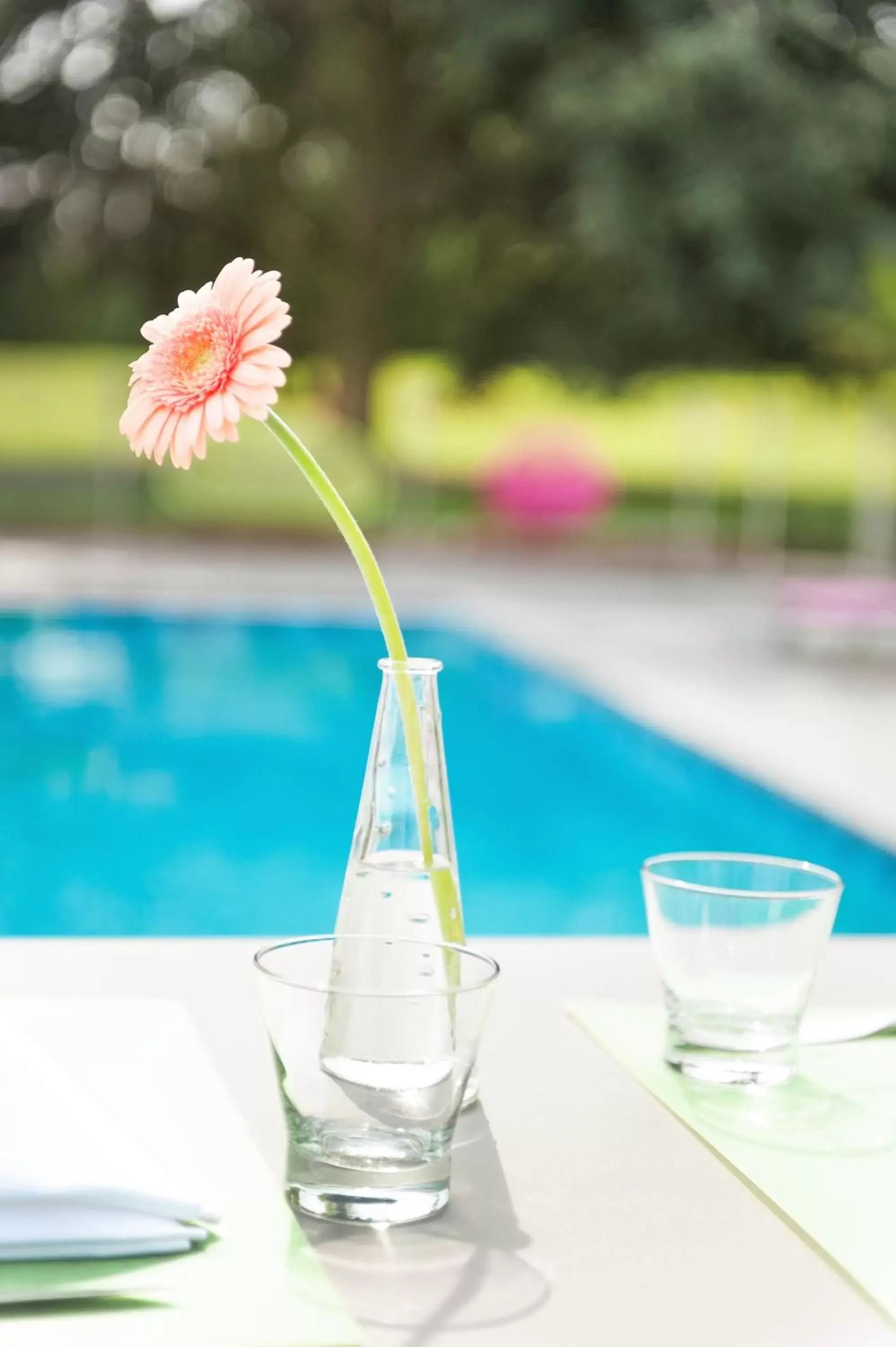 Patio, Swimming Pool in Novotel Mulhouse Bâle Fribourg