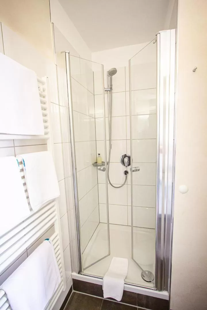 Shower in Hotel Spessartstuben