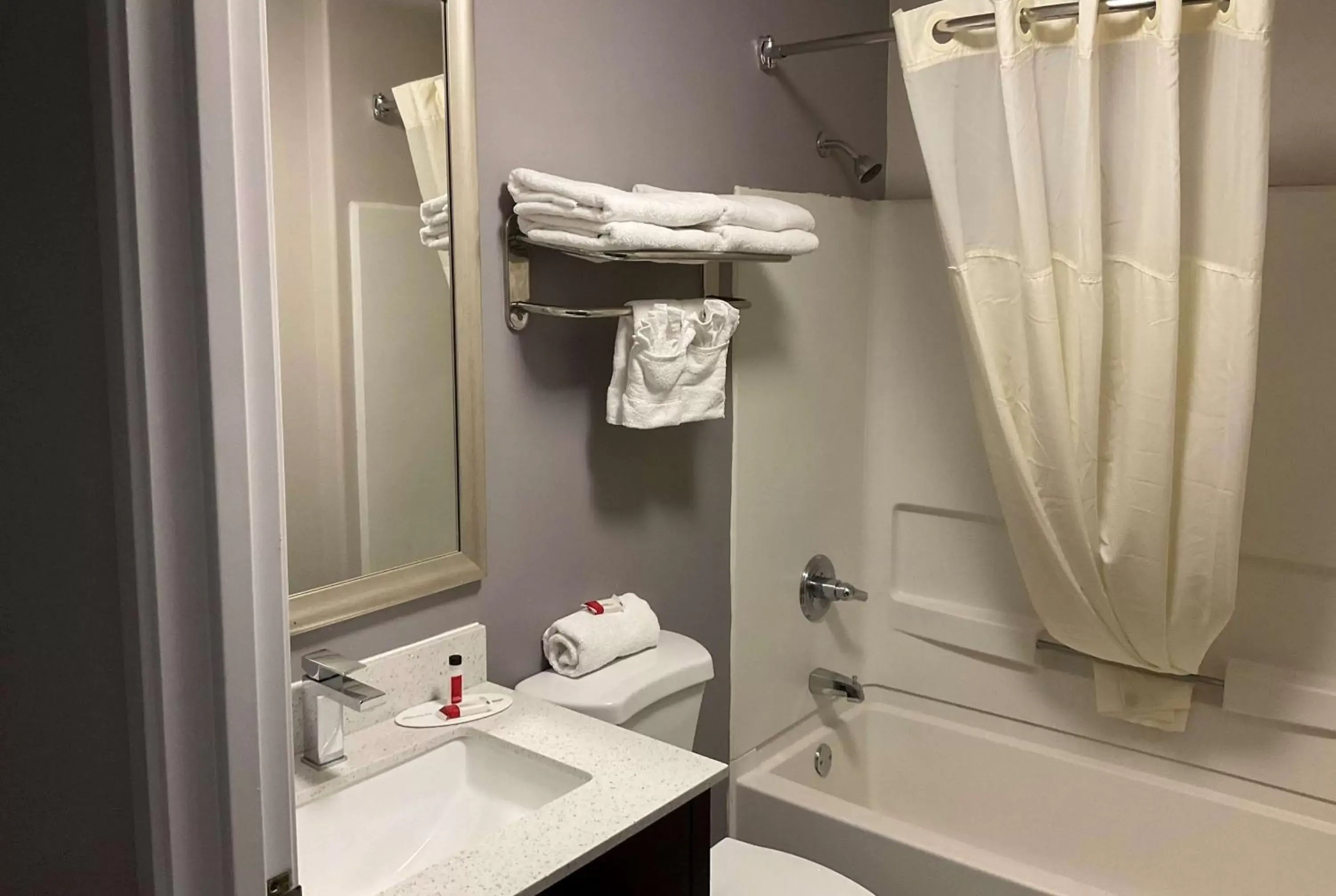 Bathroom in Microtel Inn and Suites Clarksville