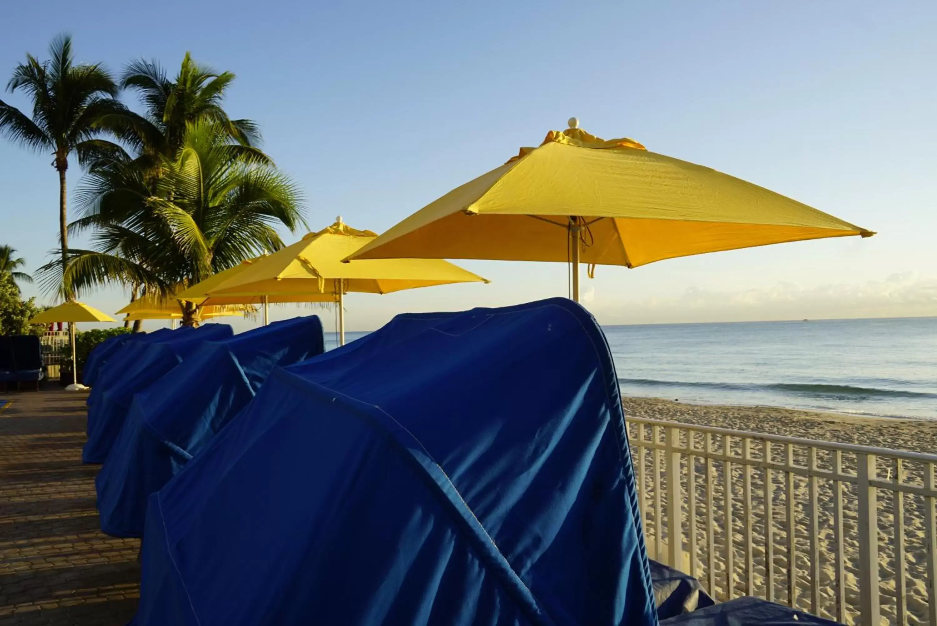 Beach in Ocean Sky Hotel & Resort