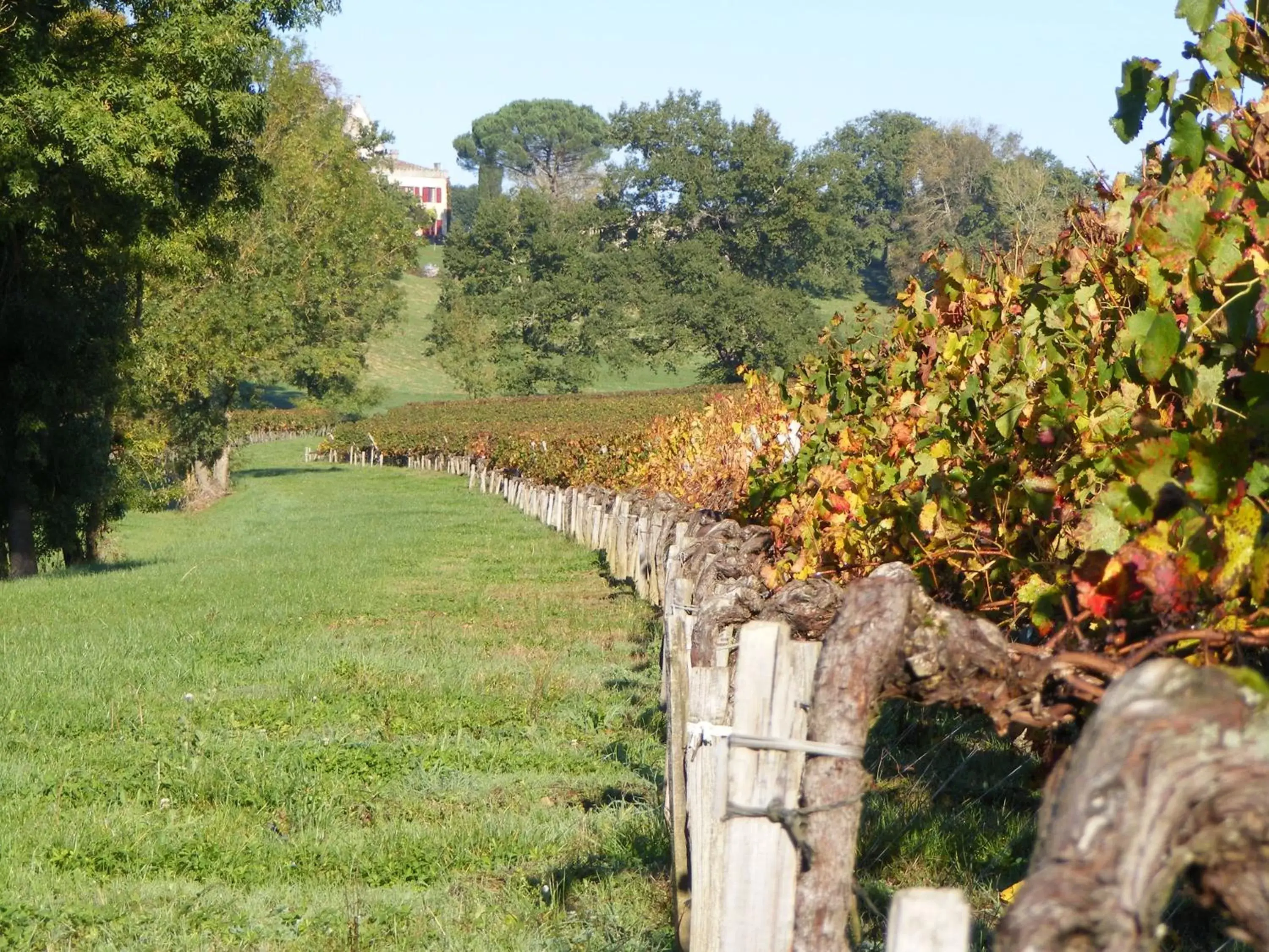 Double Room with Garden View in La chambre de la Tour Double Room with Garden View in La chambre de la Tour