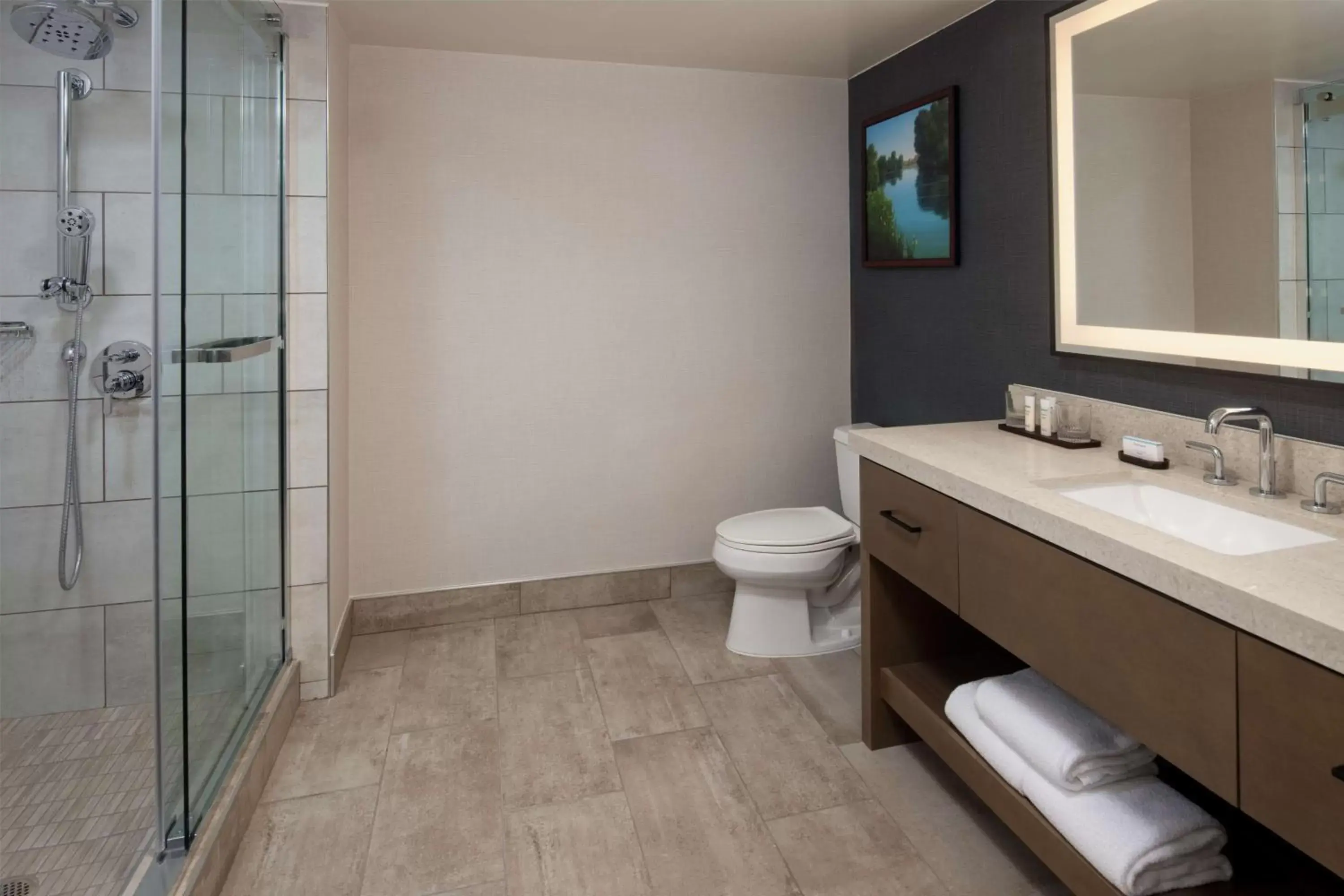 Bathroom in Embassy Suites by Hilton Sacramento Riverfront Promenade
