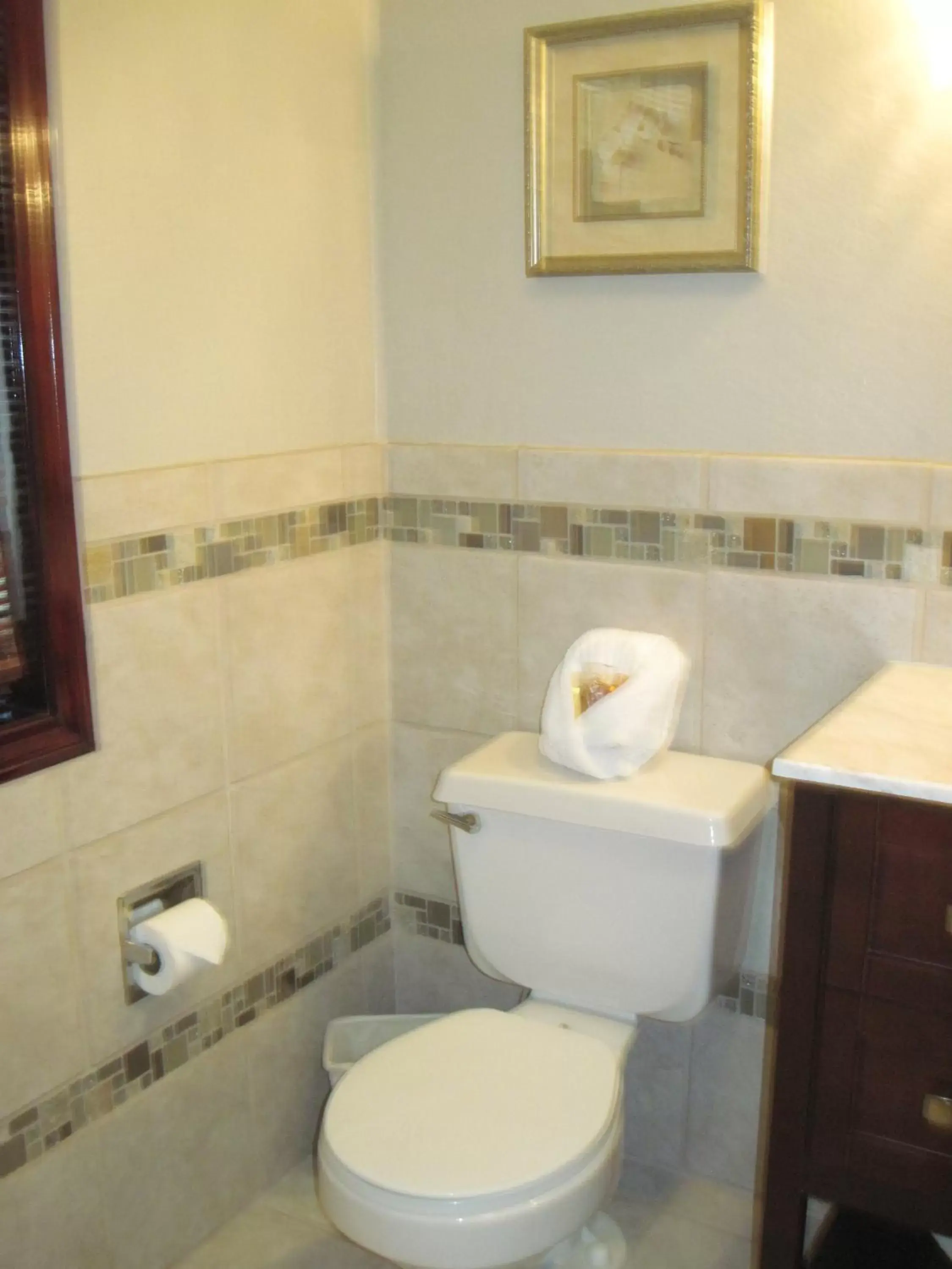 Toilet, Bathroom in The North Shore Inn