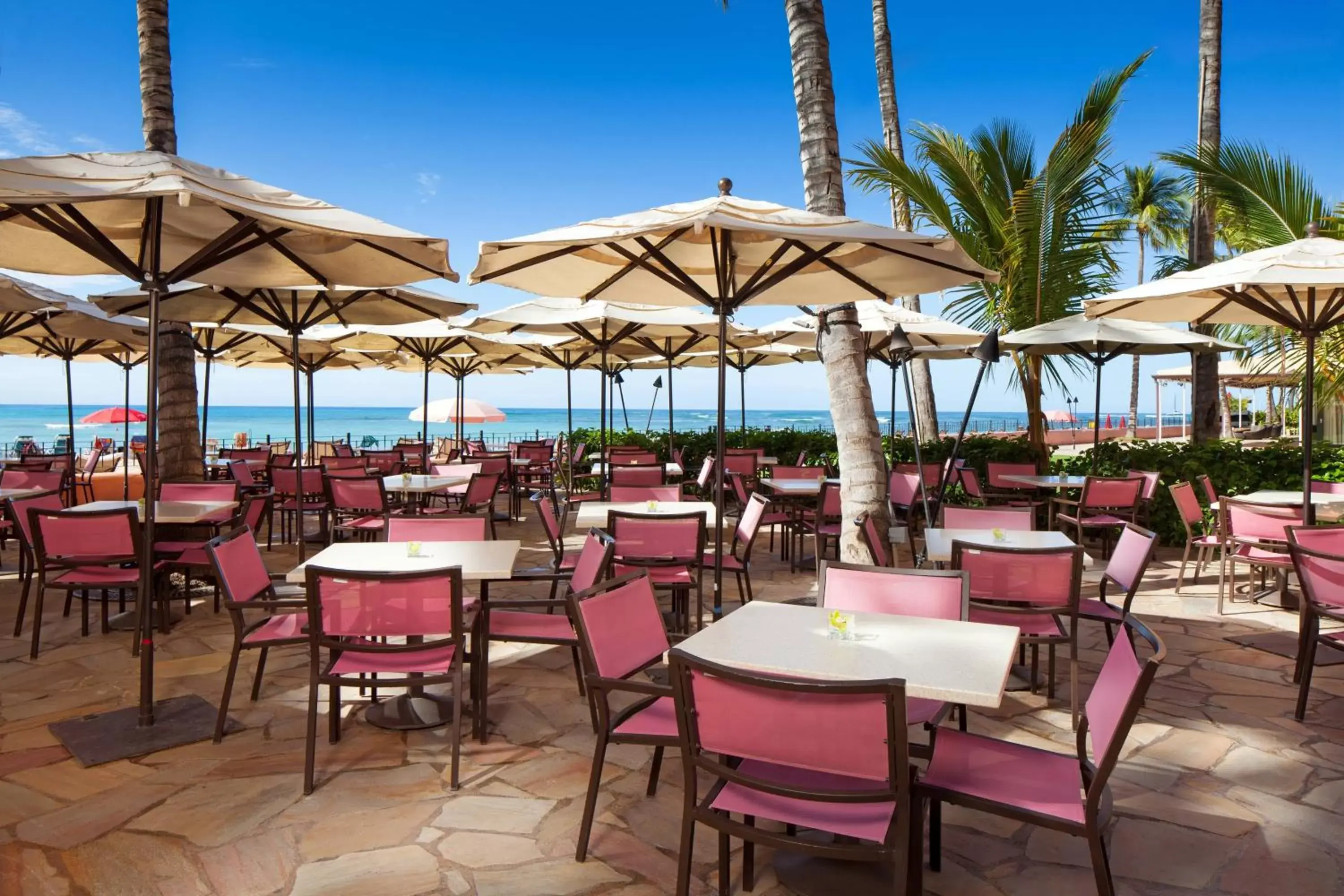 Restaurant/Places to Eat in The Royal Hawaiian, A Luxury Collection Resort, Waikiki