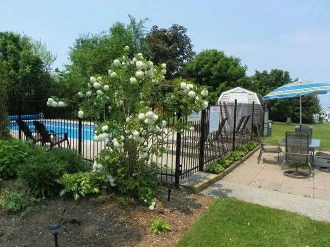 Swimming pool in Lakeview Motel & Cottage