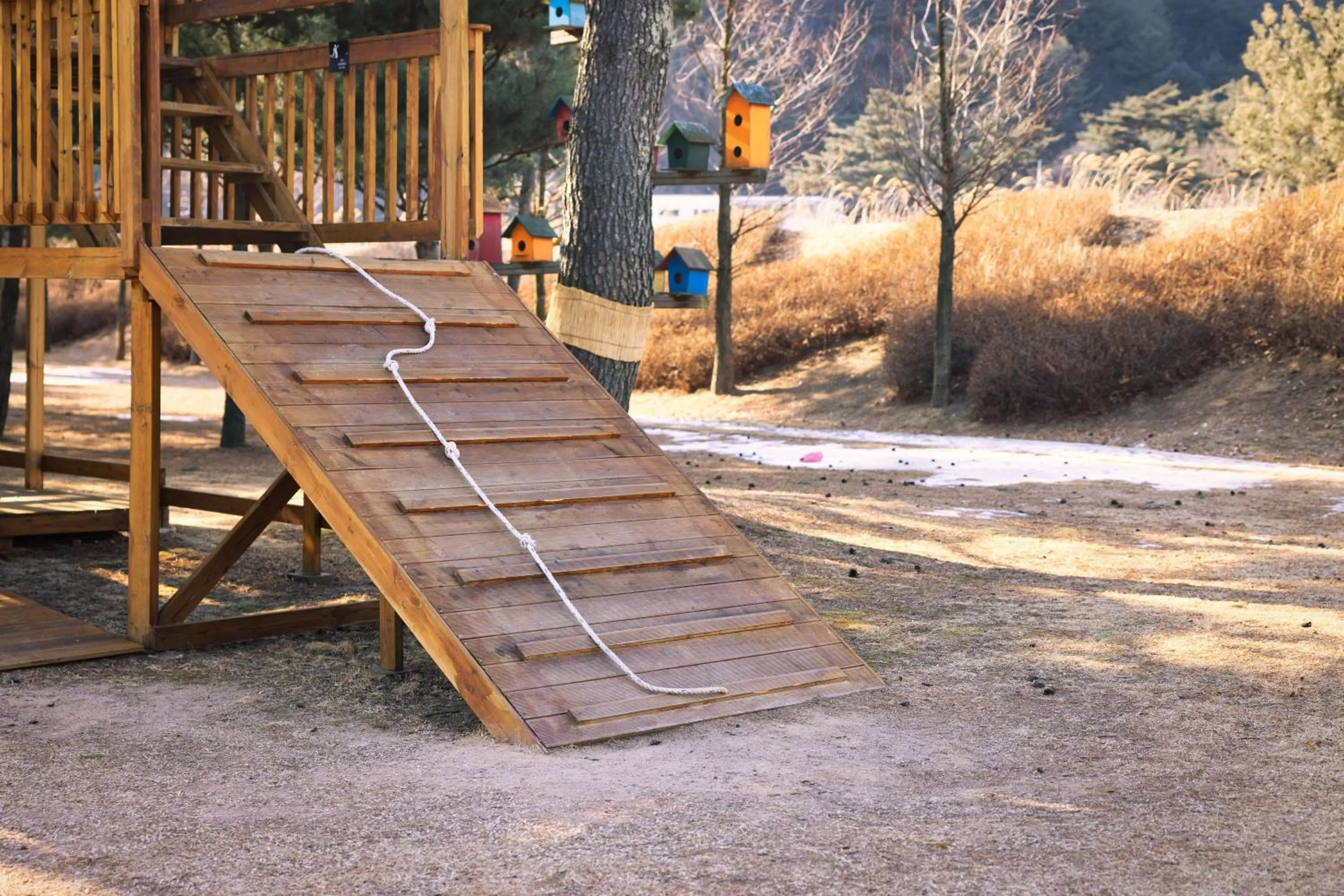 Garden in Kensington Hotel Pyeongchang