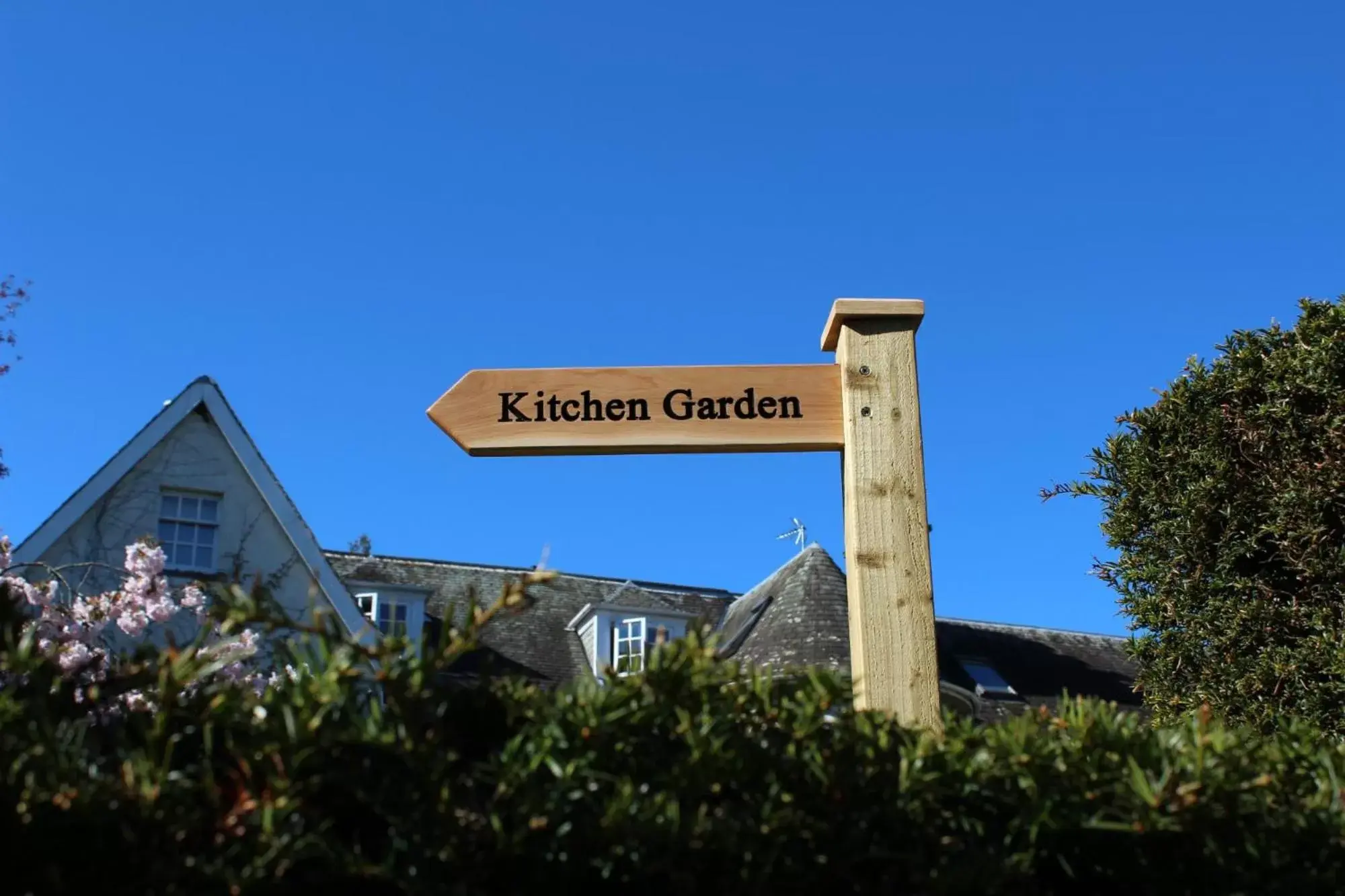 Garden in Rufflets St Andrews