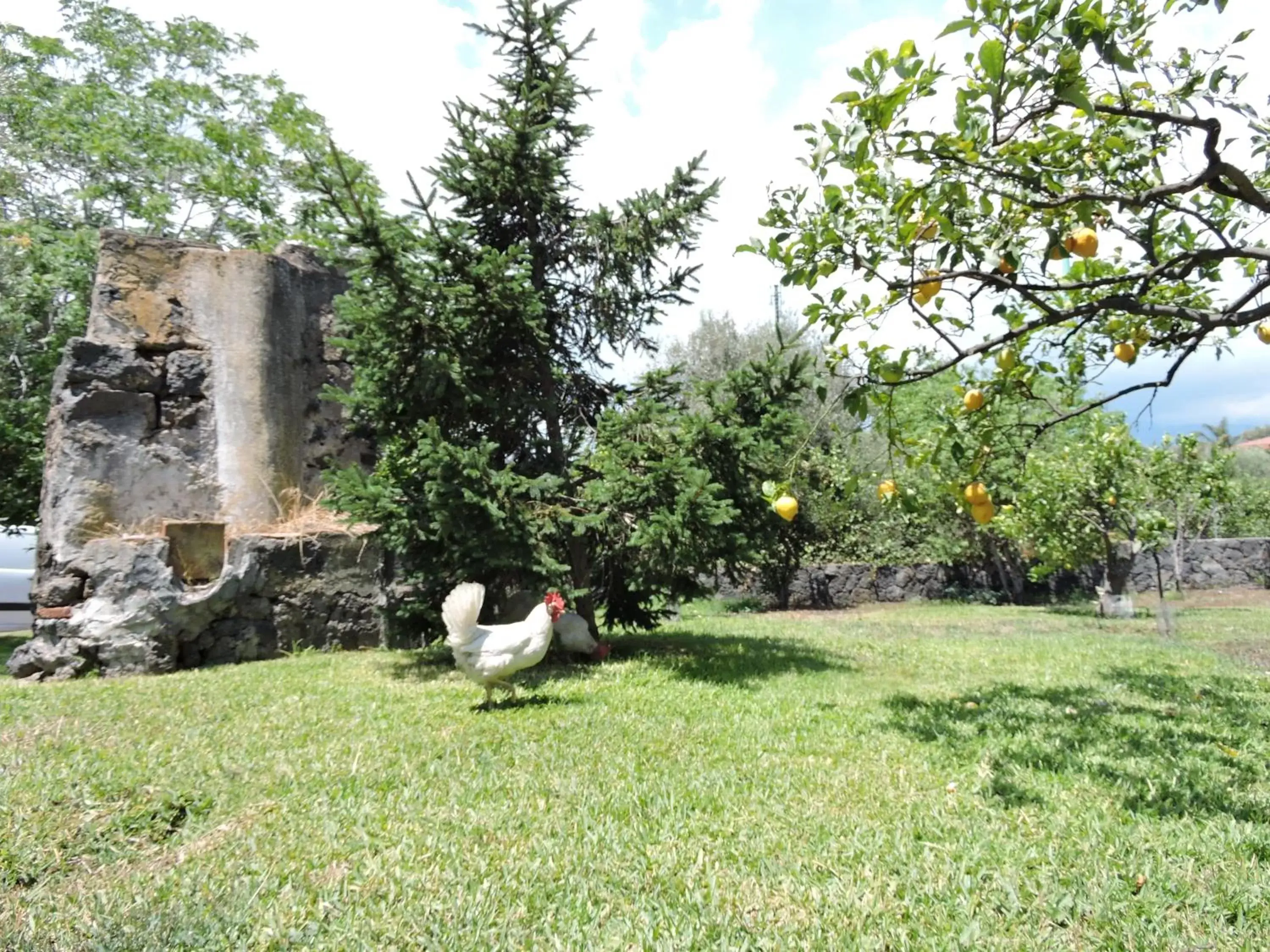 Garden in Villa Sciare Modò