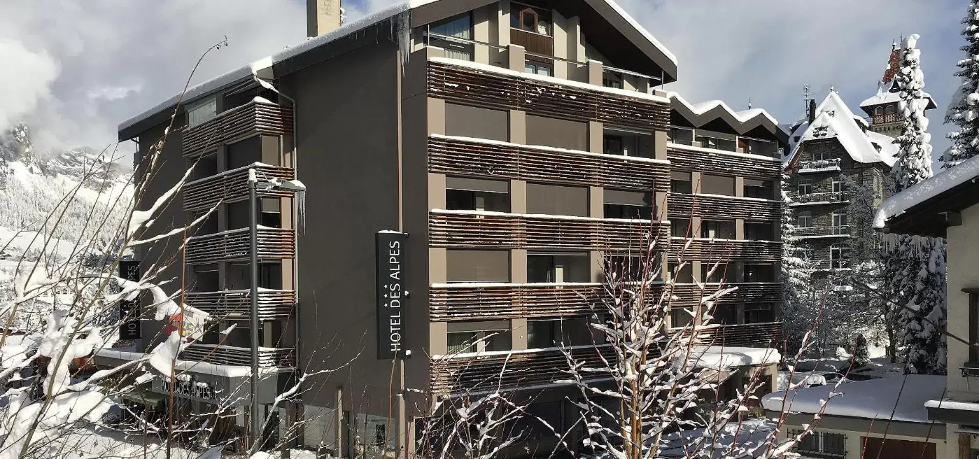 Property building, Winter in Hotel des Alpes