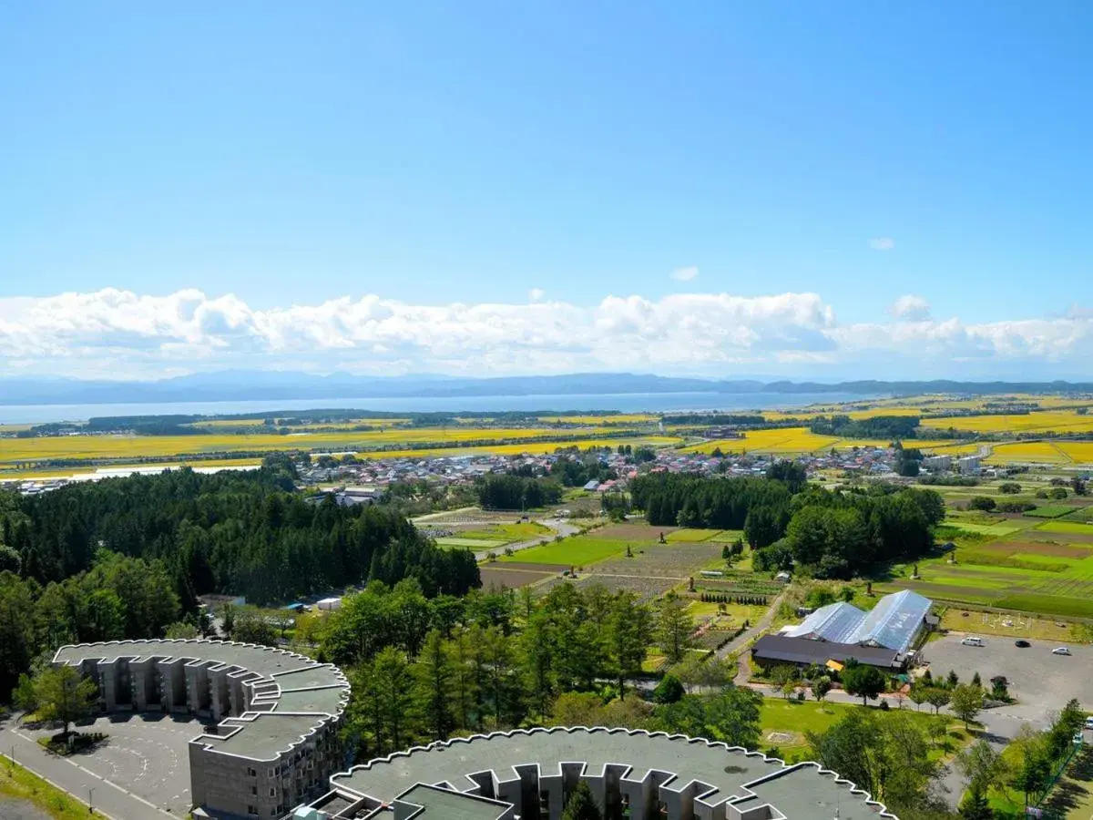 Bird's eye view, Bird's-eye View in Hotel Listel Inawashiro Wing Tower