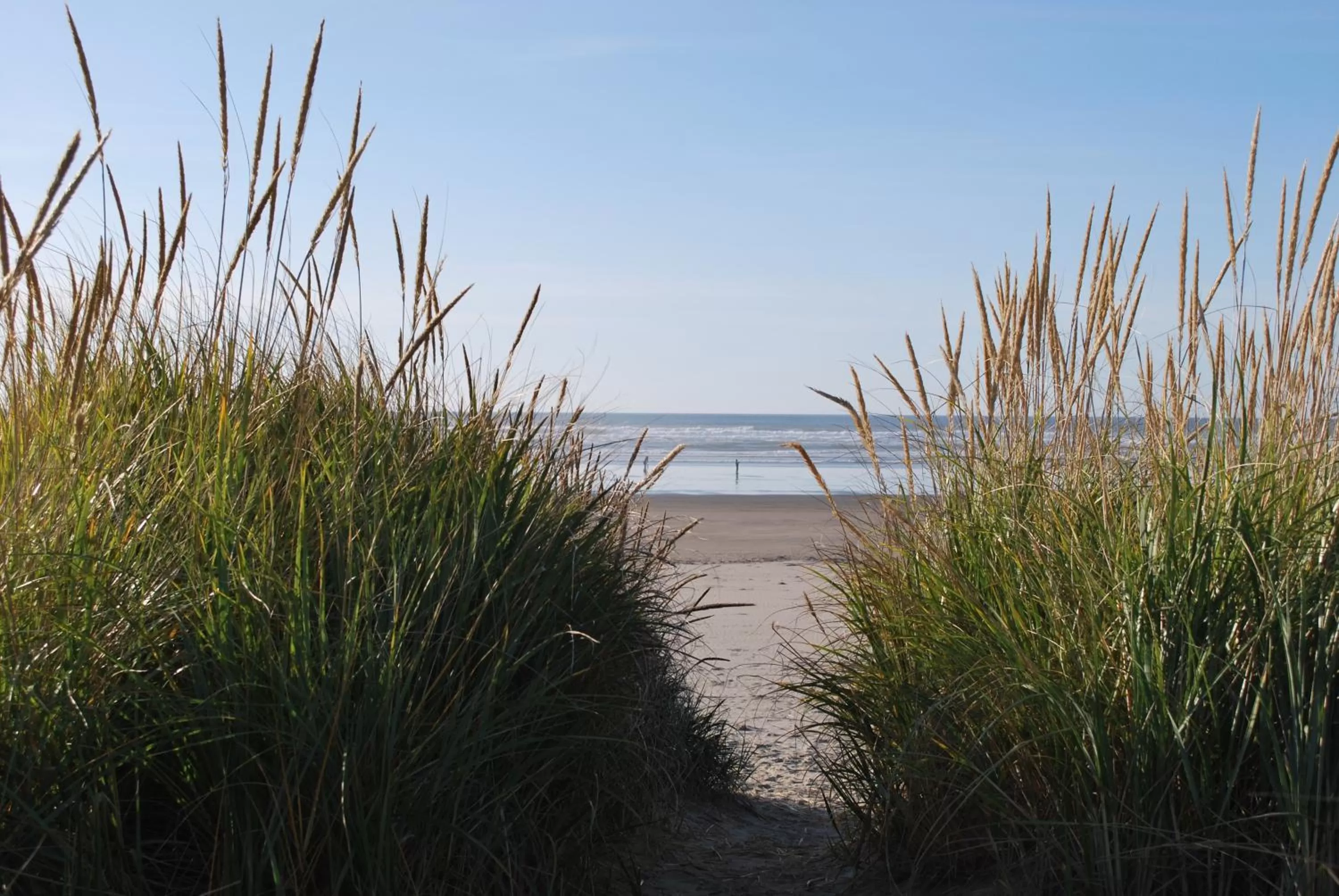 Area and facilities in Inn at the Shore