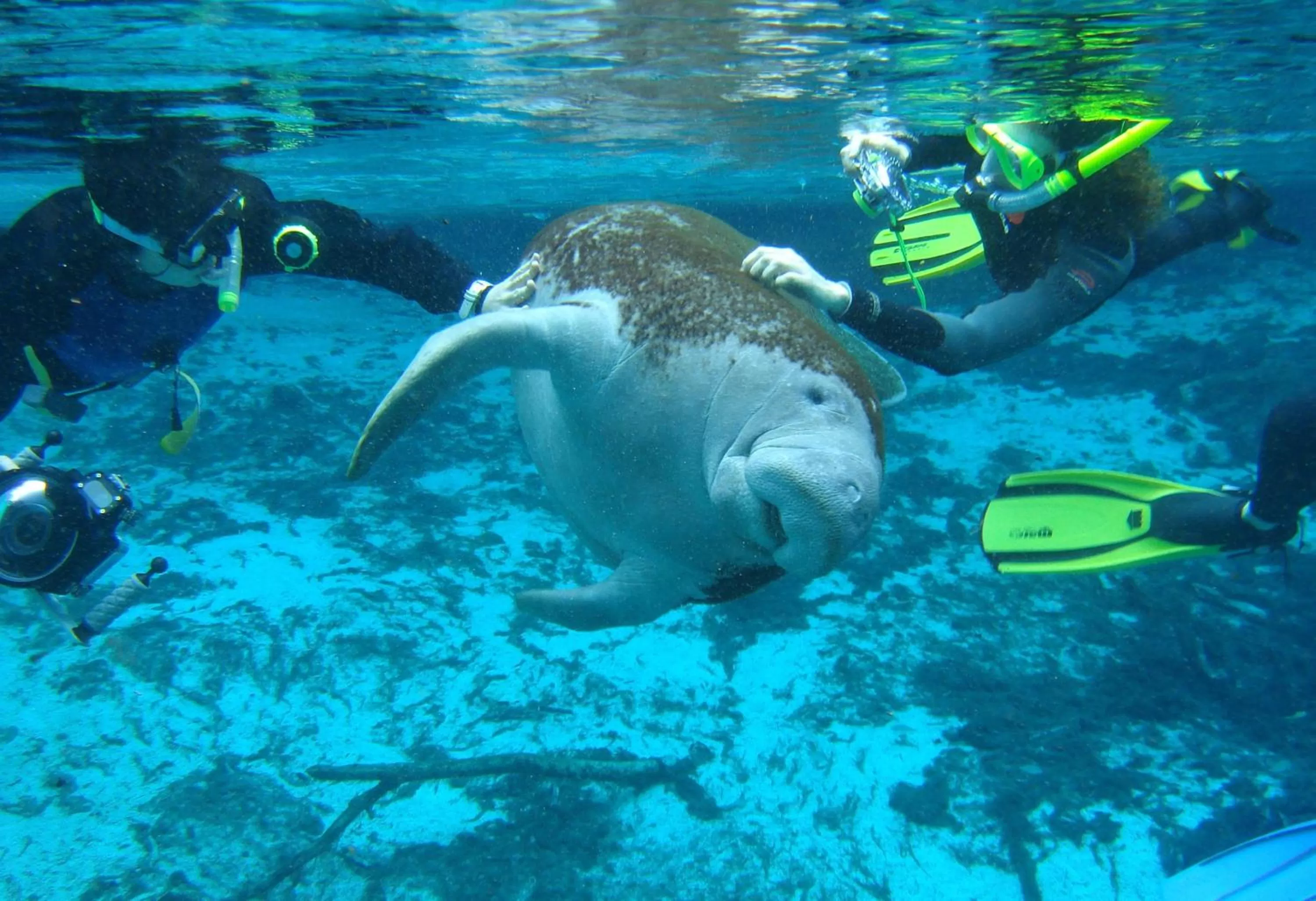 Area and facilities in Holiday Inn Express & Suites Trinity by IHG