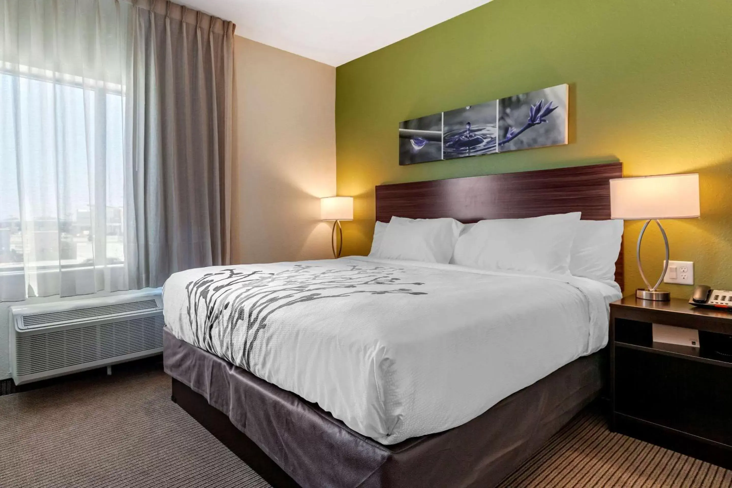 Photo of the whole room, Bed in Sleep Inn & Suites Photo of the whole room, Bed in Sleep Inn & Suites