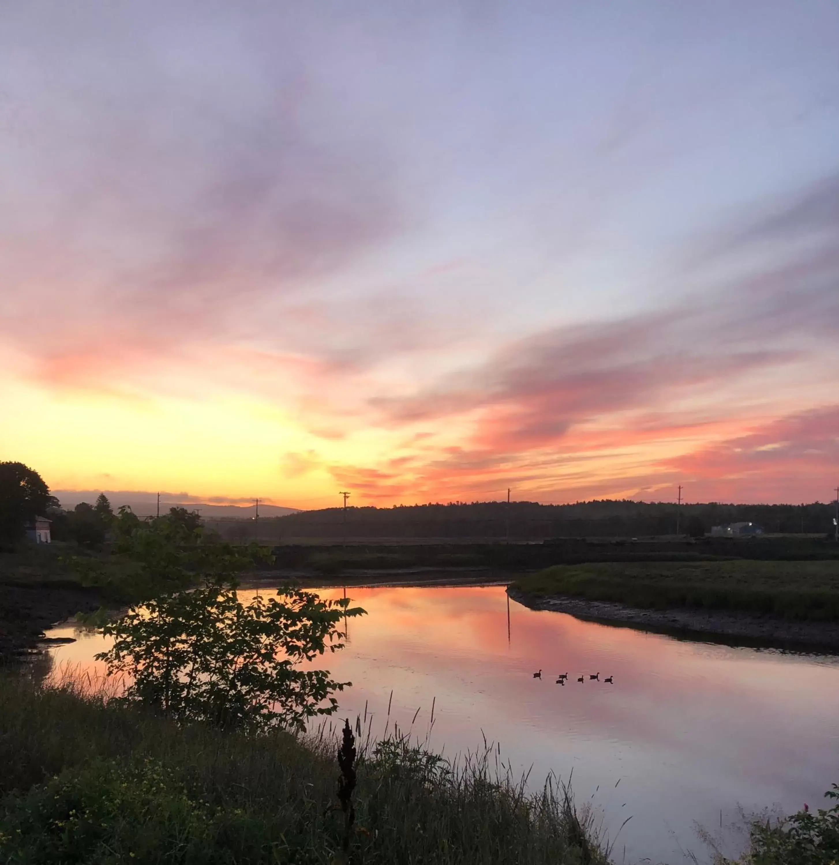 Natural landscape in Pleasant Street Inn