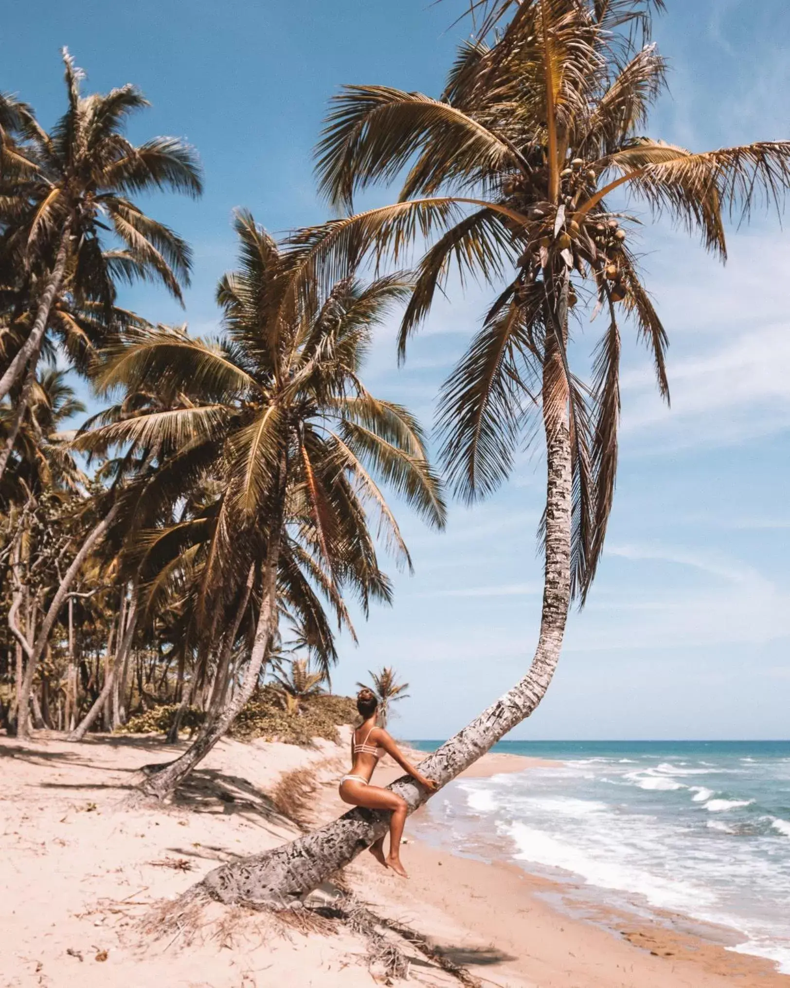 Beach in Cabarete Maravilla Eco Lodge Boutique Beach Surf & Kite