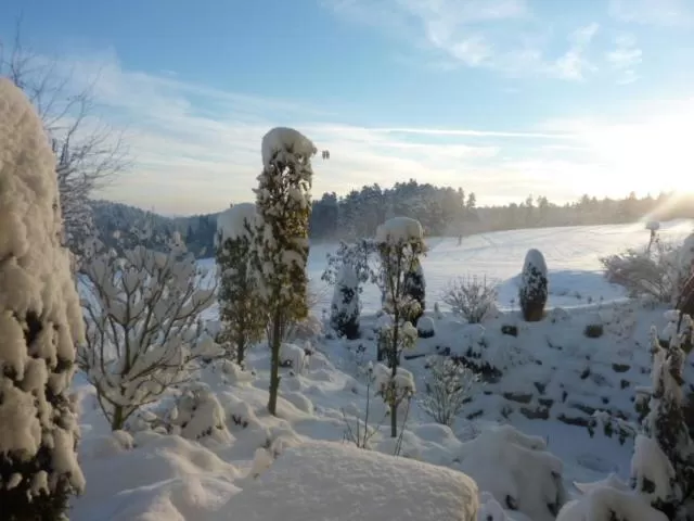 Natural landscape in Landhotel Talblick