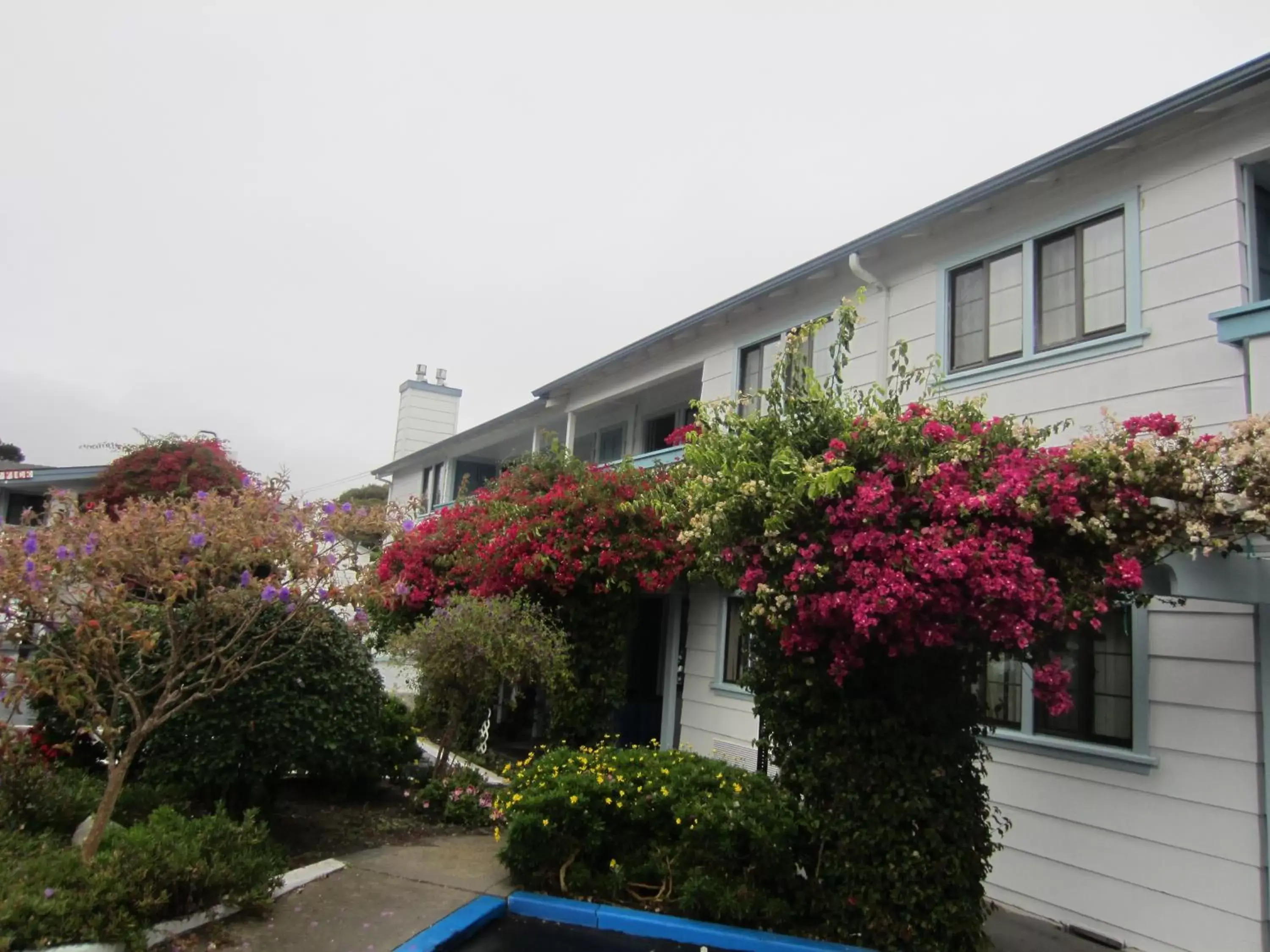Facade/entrance in Arbor Inn Monterey Facade/entrance in Arbor Inn Monterey