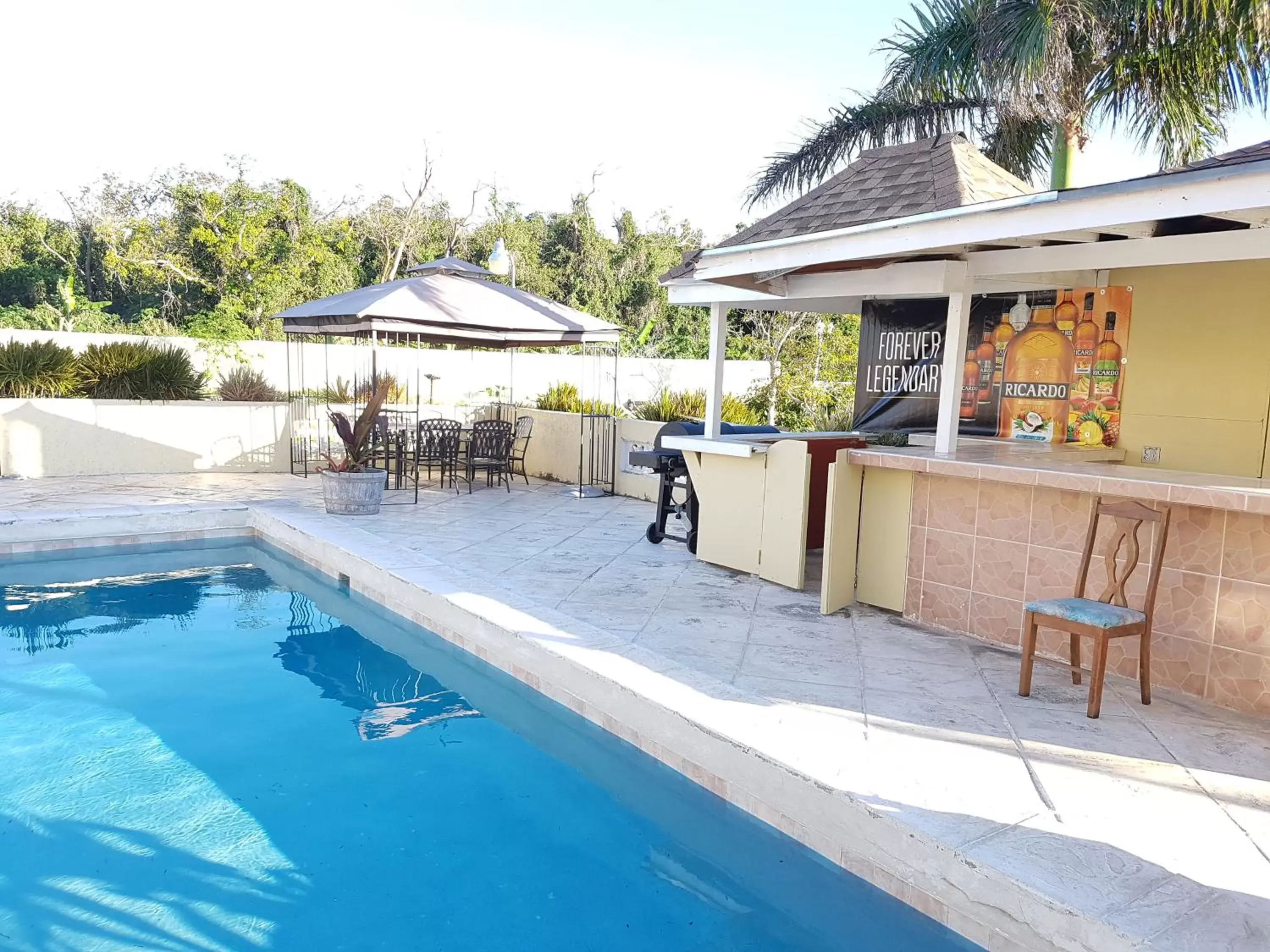 Pool view, Swimming Pool in Golden Palm B & B