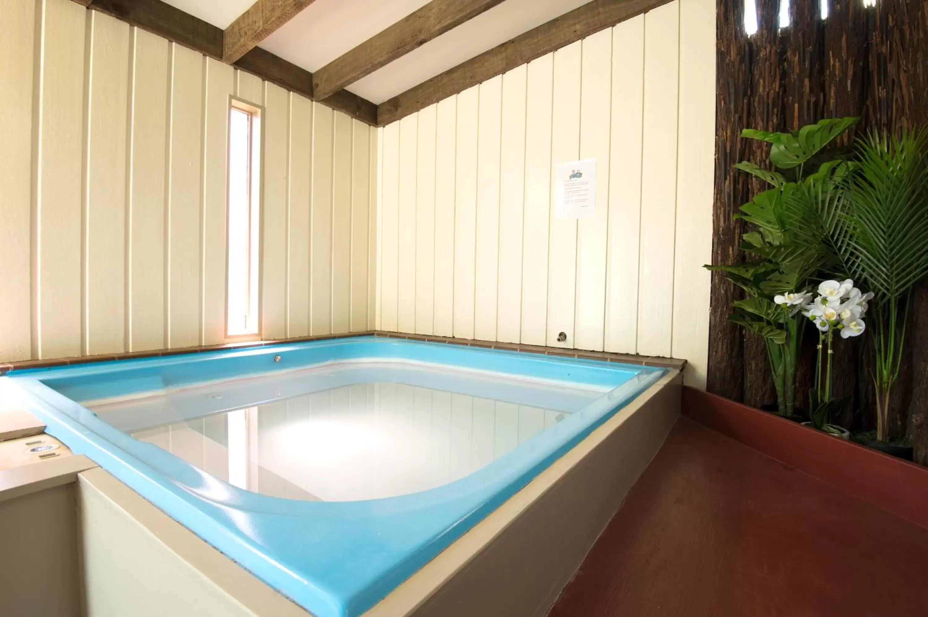 Hot Tub, Swimming Pool in Kapiti Gateway Motel