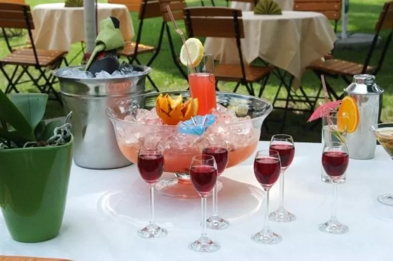 Food and drinks in Hotel Vistula