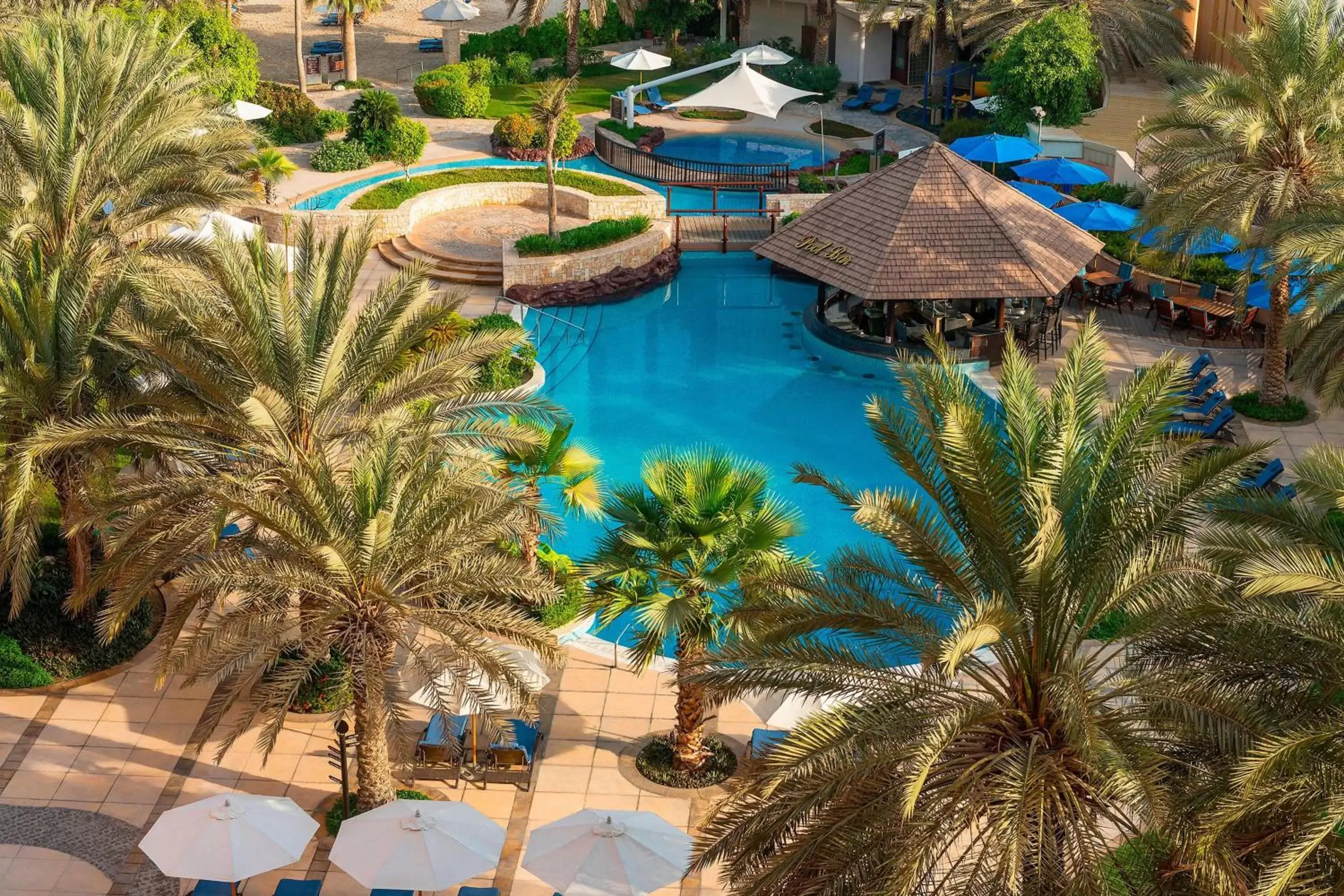 Swimming pool, Pool View in Sheraton Abu Dhabi Hotel & Resort