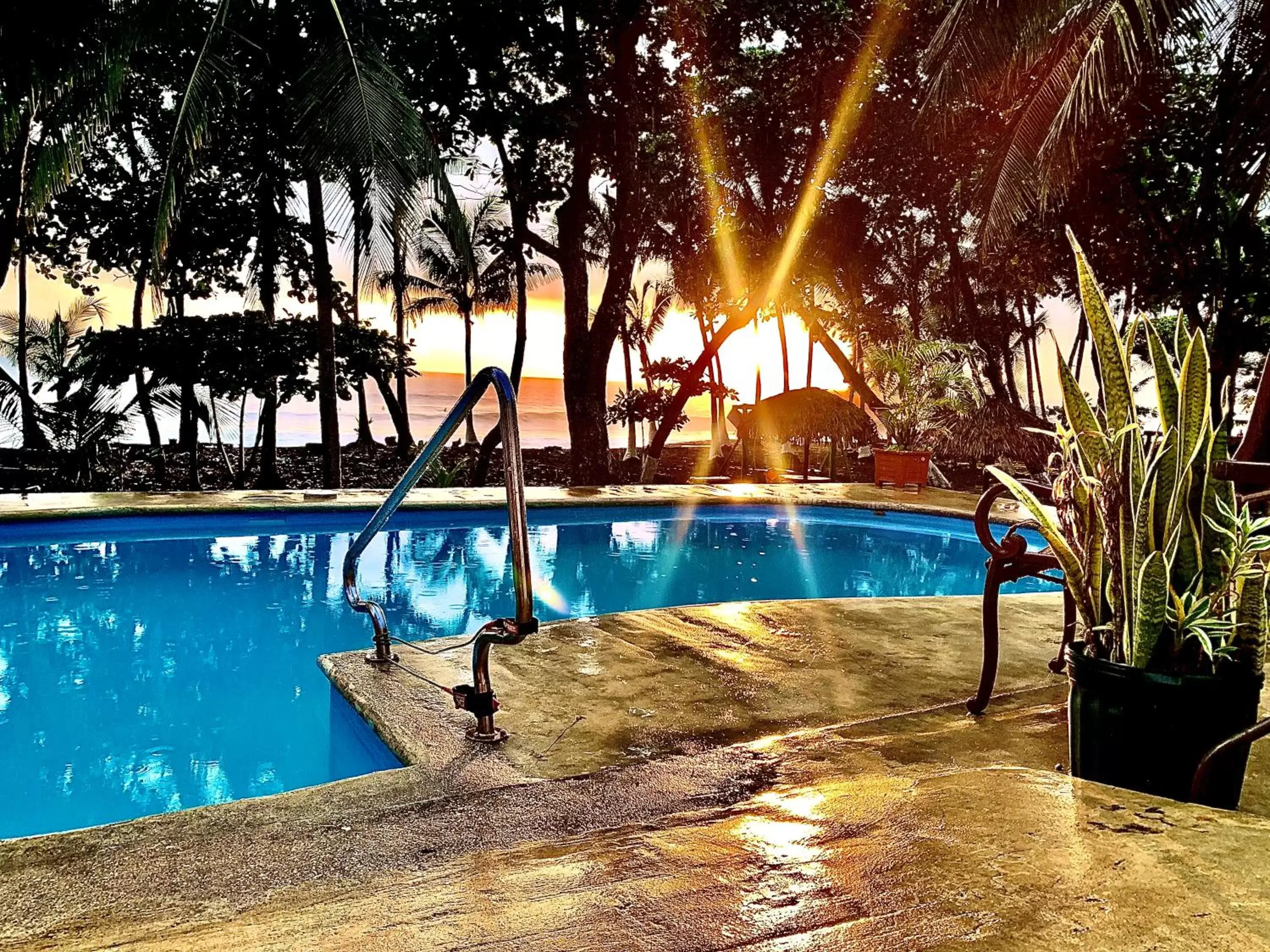 Swimming Pool in Hotel Beachfront Vista Hermosa
