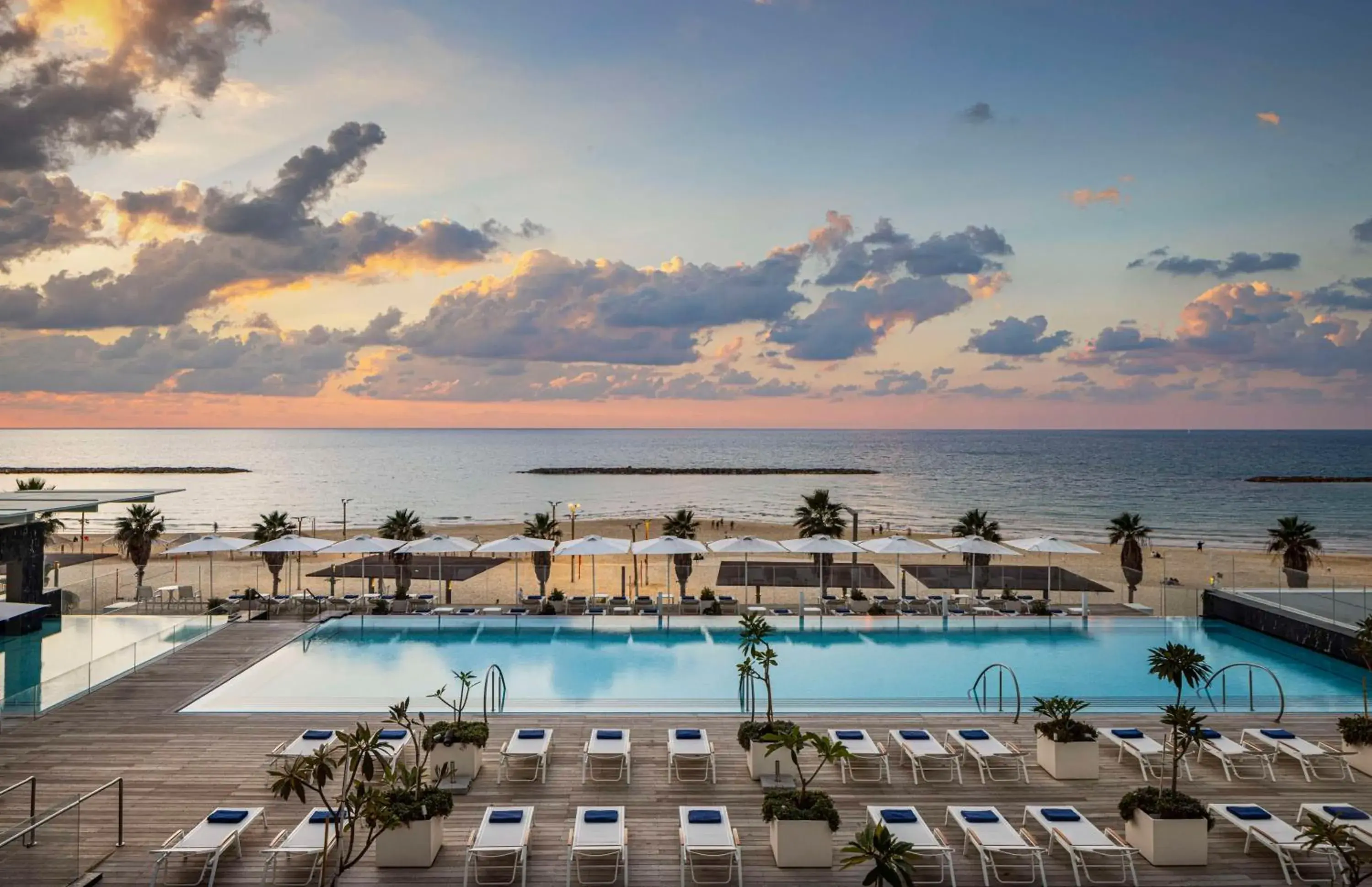 Beach, Swimming Pool in The David Kempinski Tel Aviv