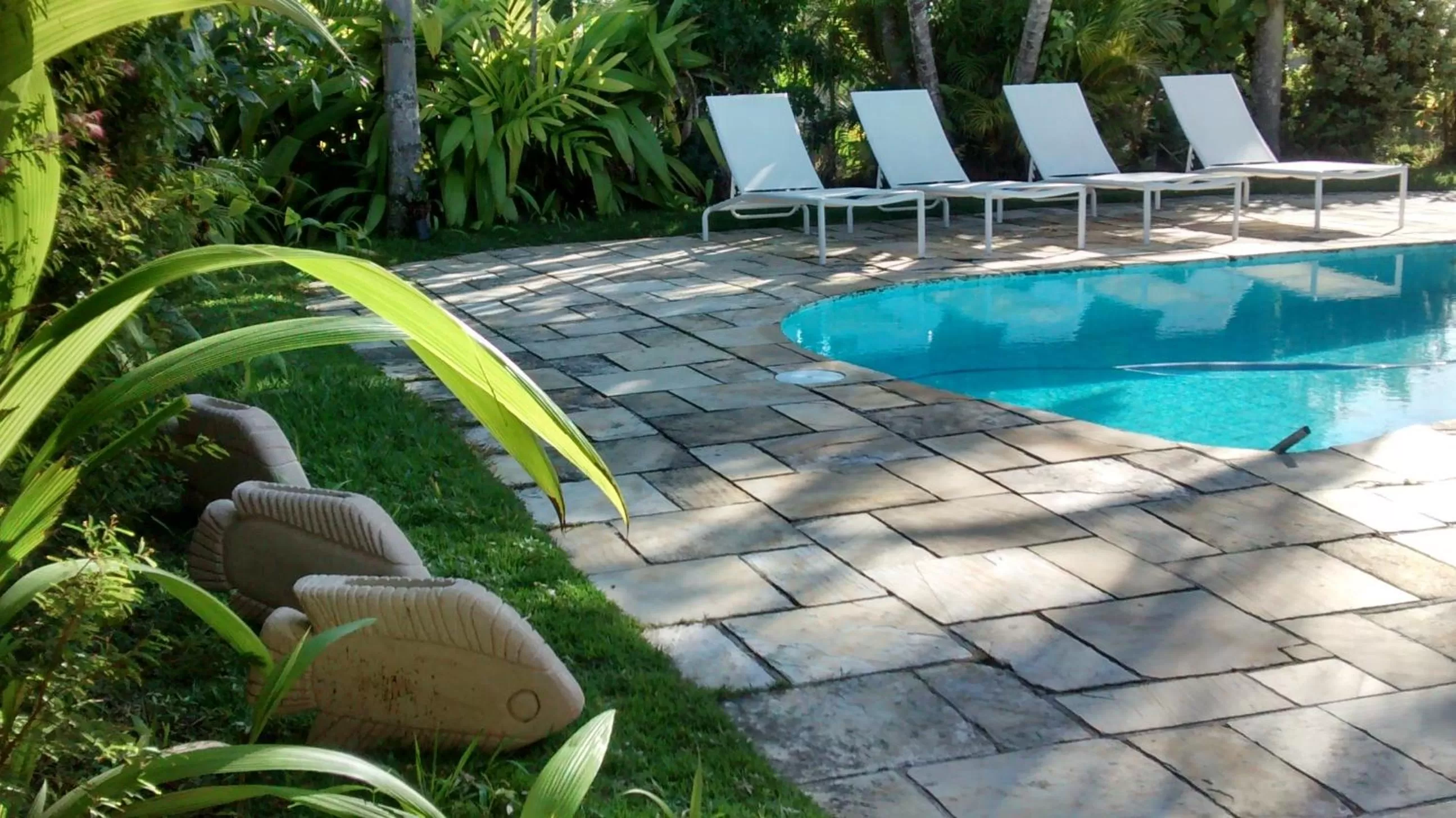 Day in Pousada Na Praia Ubatuba