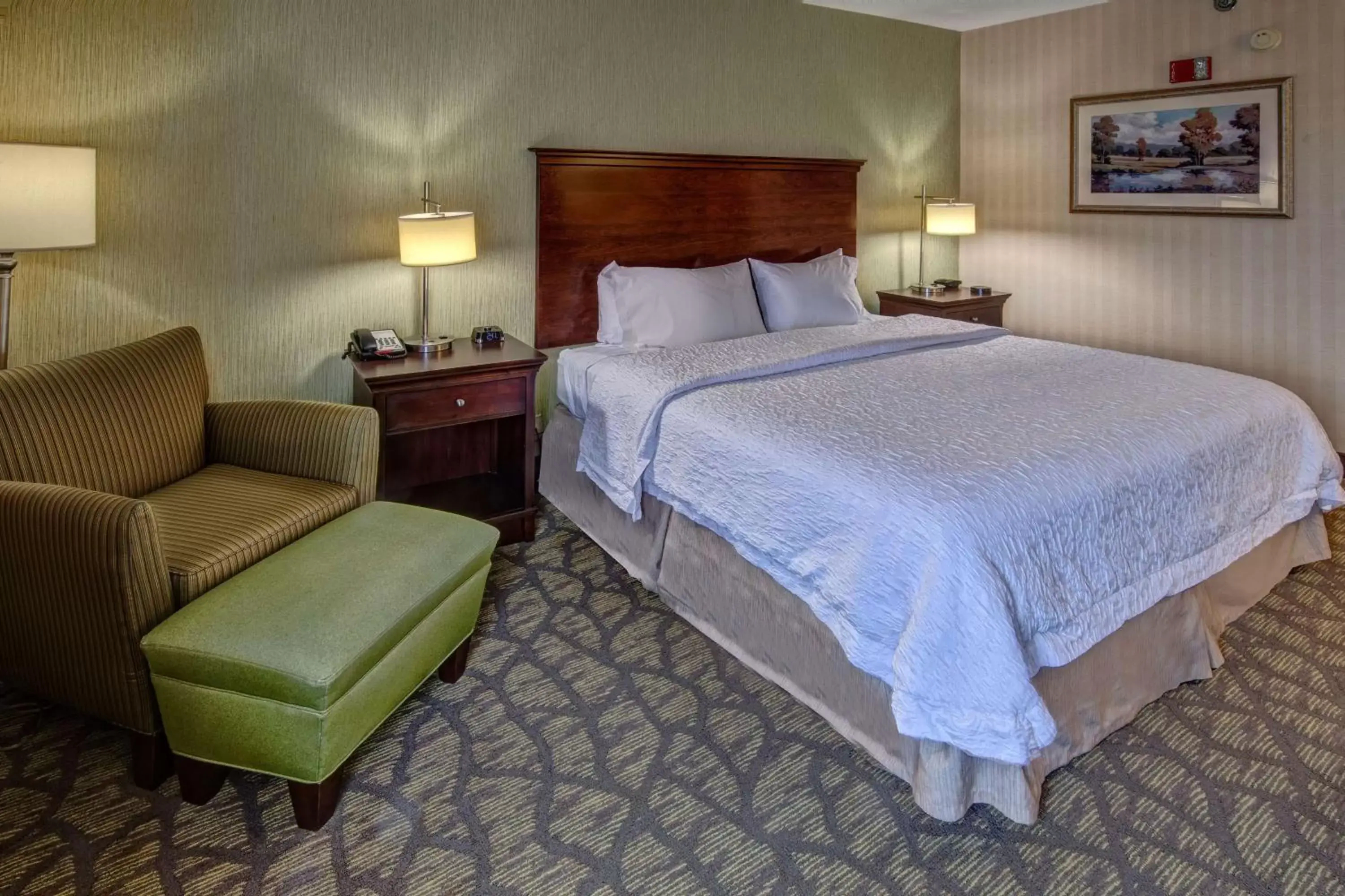 Living room, Bed in Hampton Inn Rocky Mount