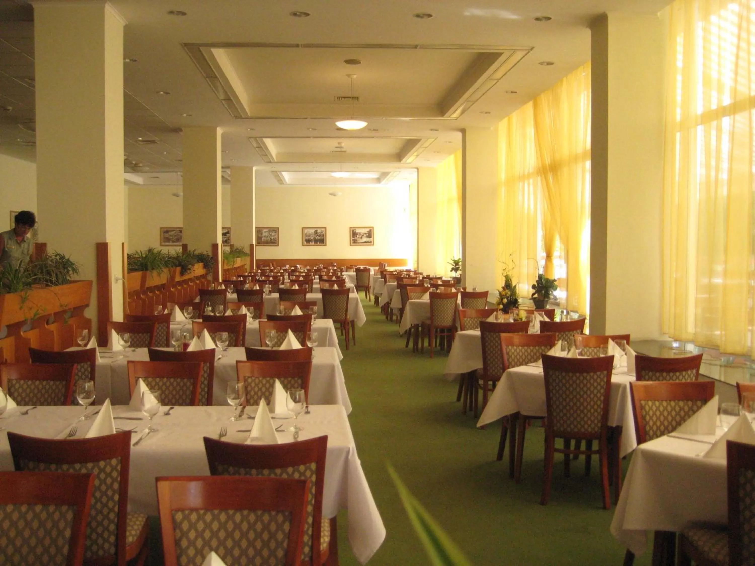 Restaurant/places to eat in Ensana Sovata