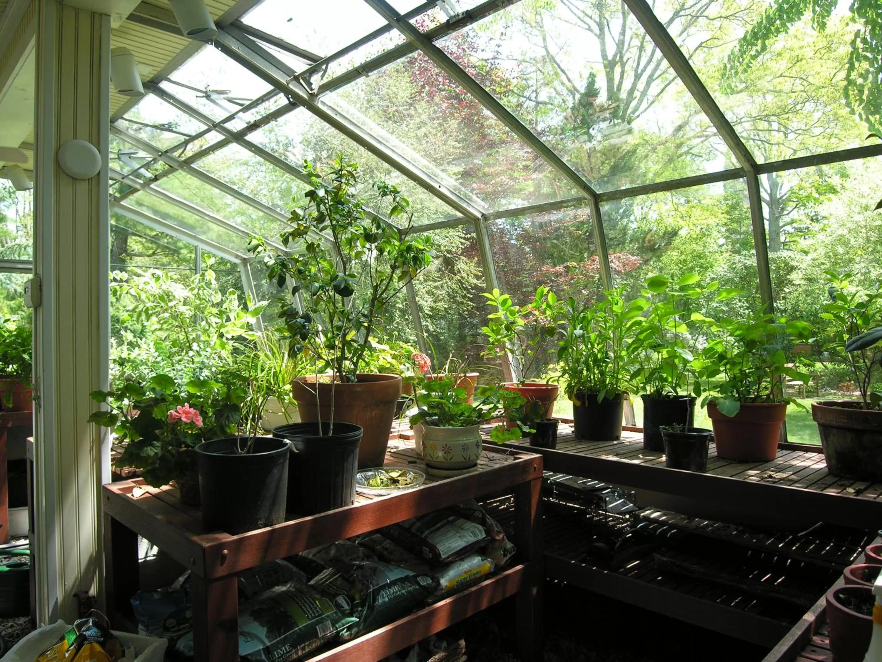 Garden in Delano Homestead Bed and Breakfast