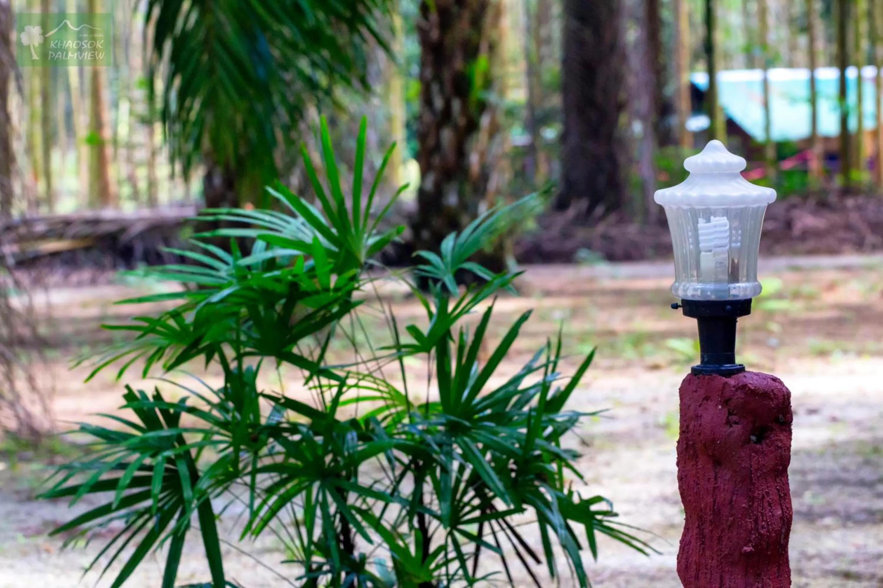Garden in Khao Sok Palmview Resort