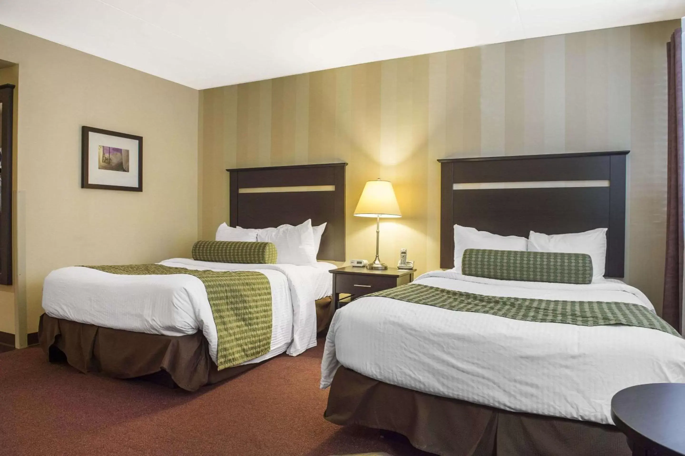 Photo of the whole room, Bed in Clarion Hotel & Conference Centre Pembroke