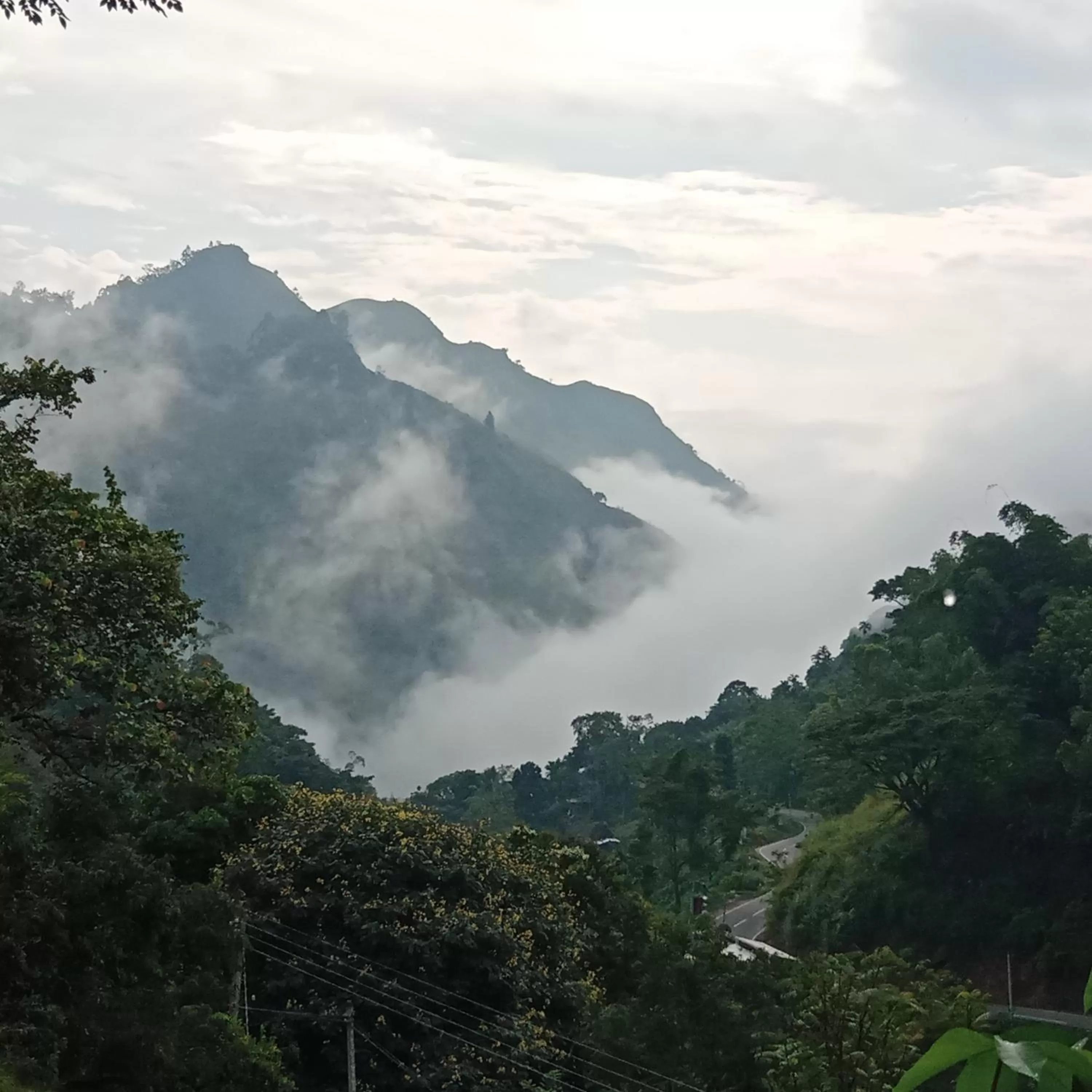 Ella Lucky Panoramic