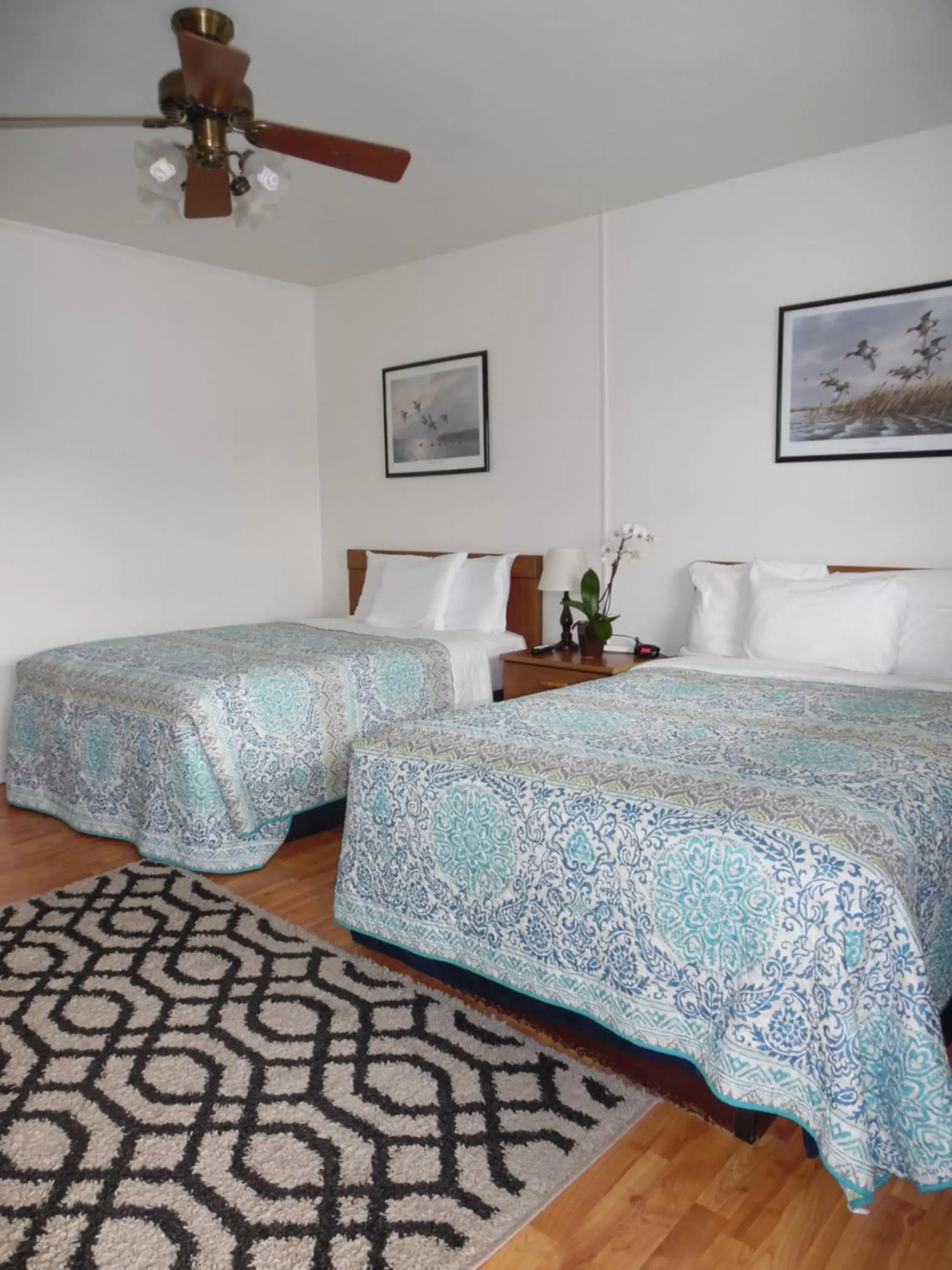 Bed in Wachapreague Inn - Motel Rooms Bed in Wachapreague Inn - Motel Rooms