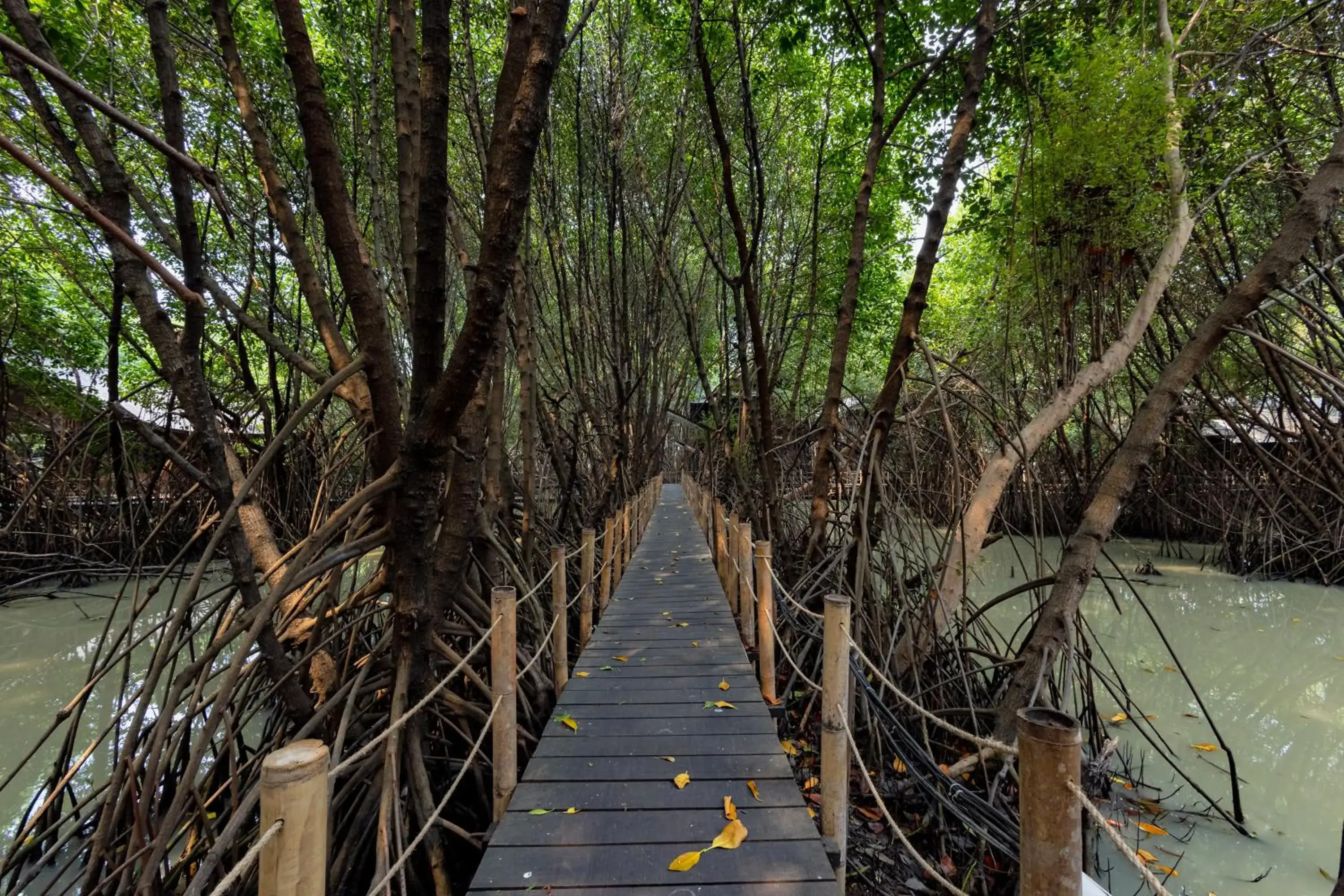 Other in RedDoorz Resort @ Taman Wisata Mangrove