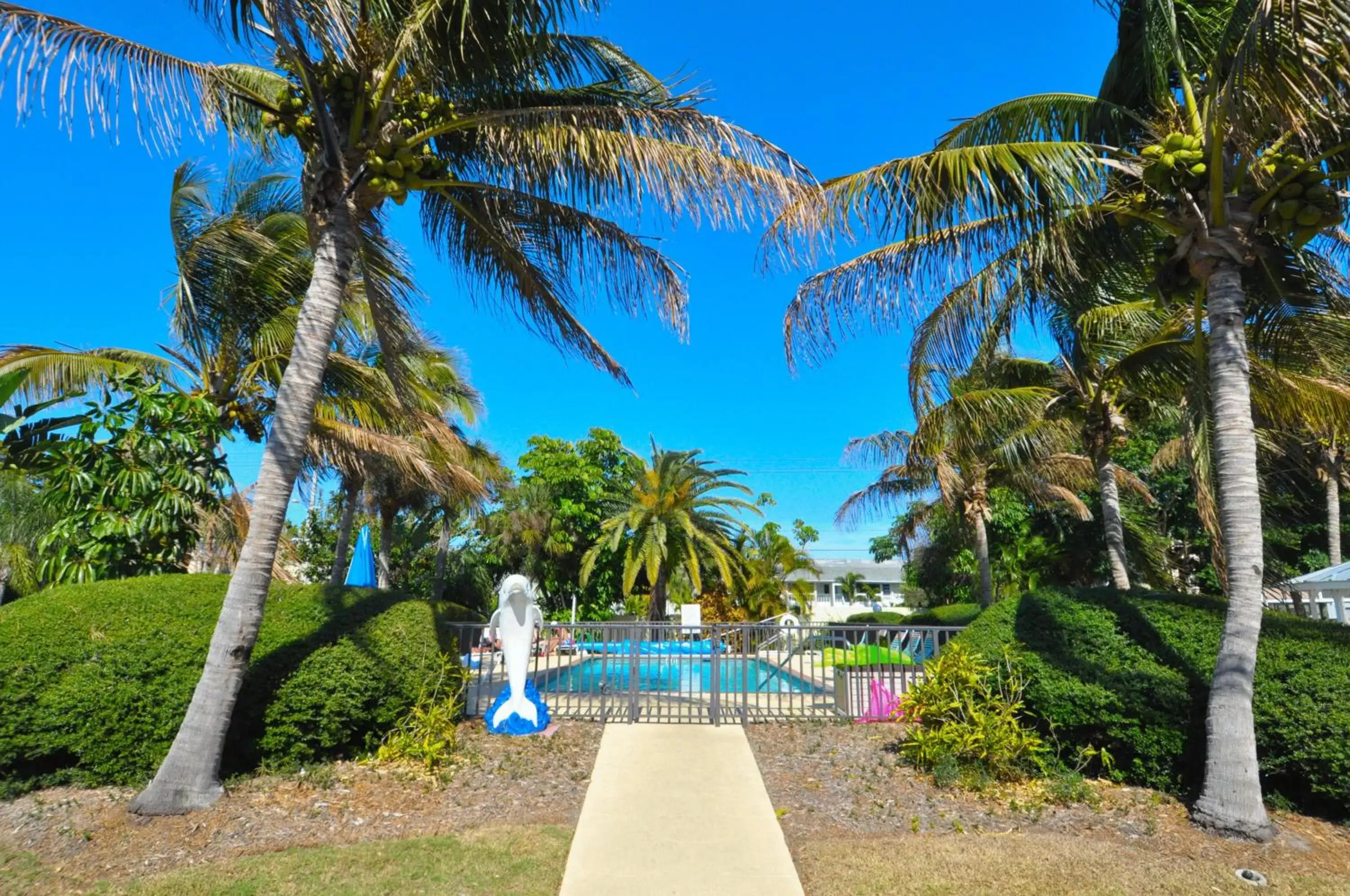 Swimming Pool in Tropical Beach Resorts - Sarasota