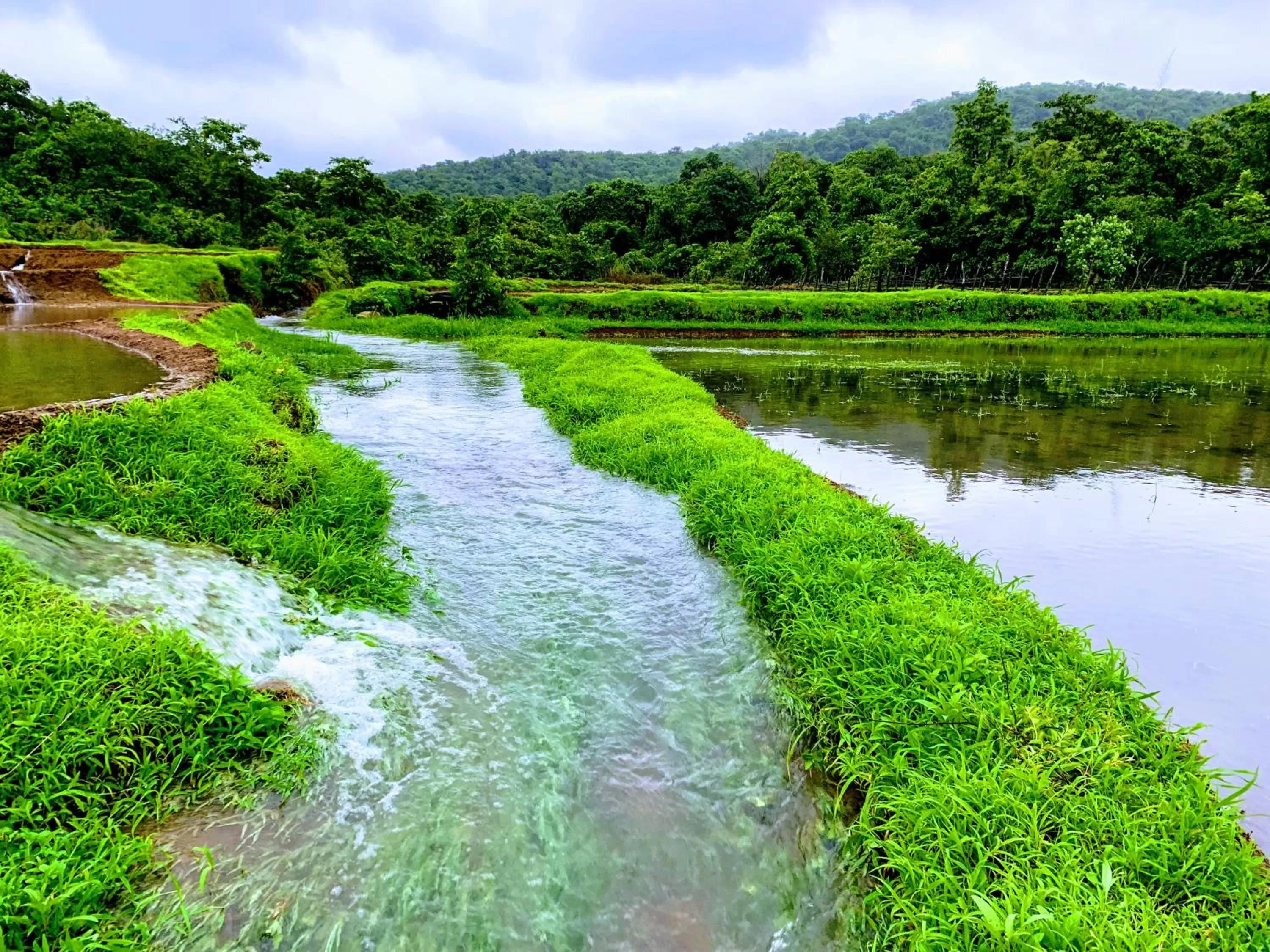 Natural landscape in Porsu