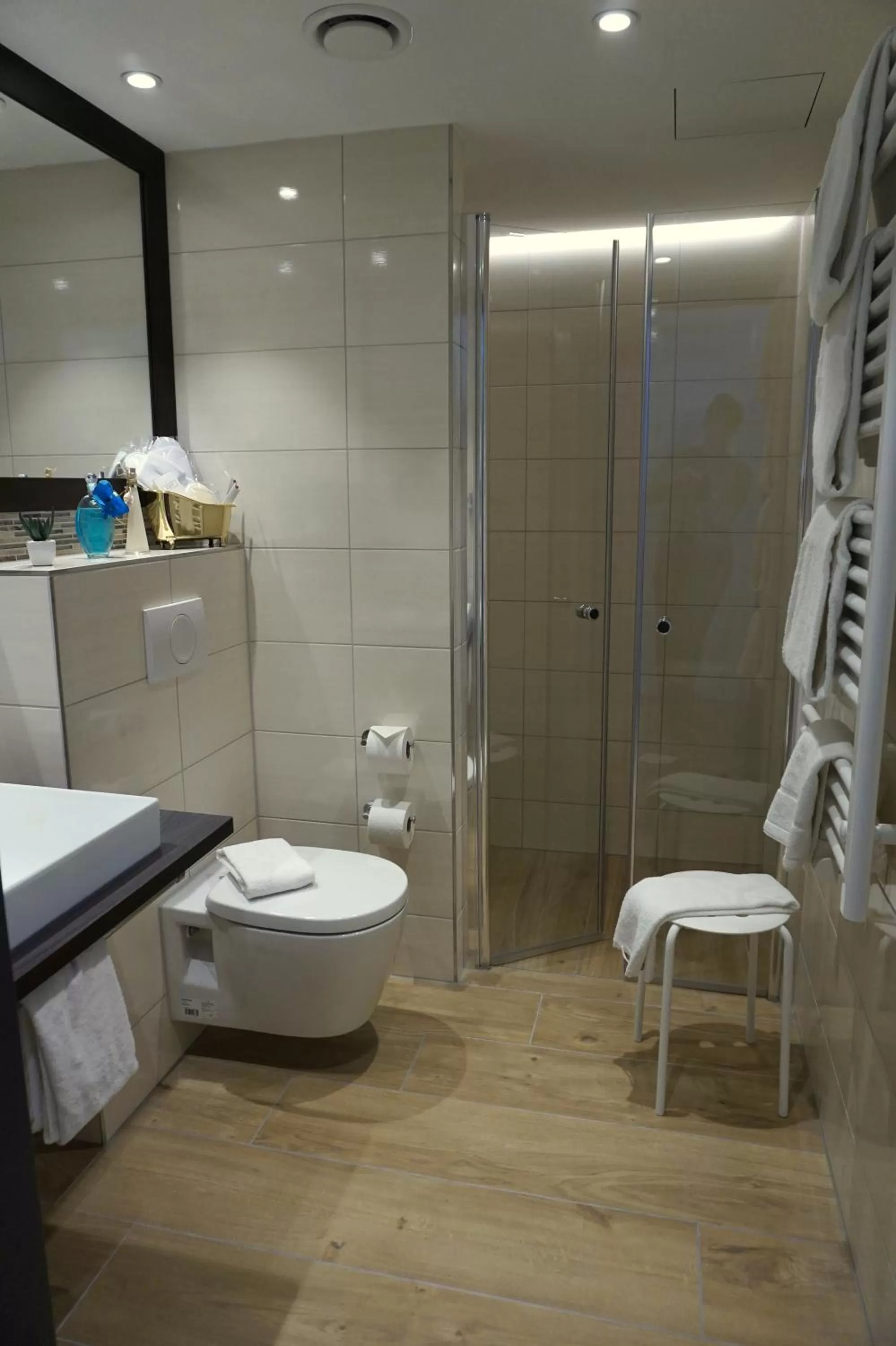 Shower in Hotel Rappen Rothenburg ob der Tauber