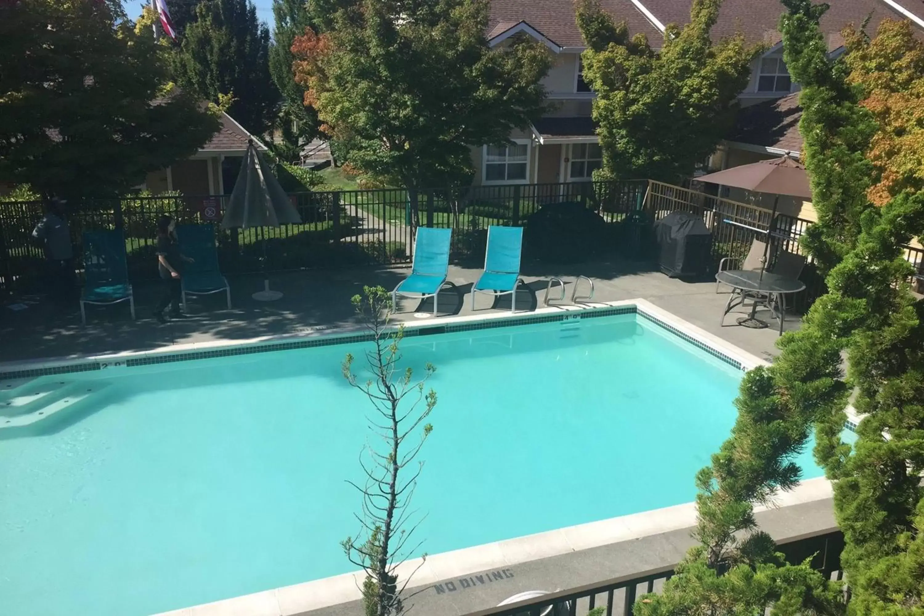 Swimming pool, Pool View in TownePlace Suites by Marriott Seattle Everett/Mukilteo