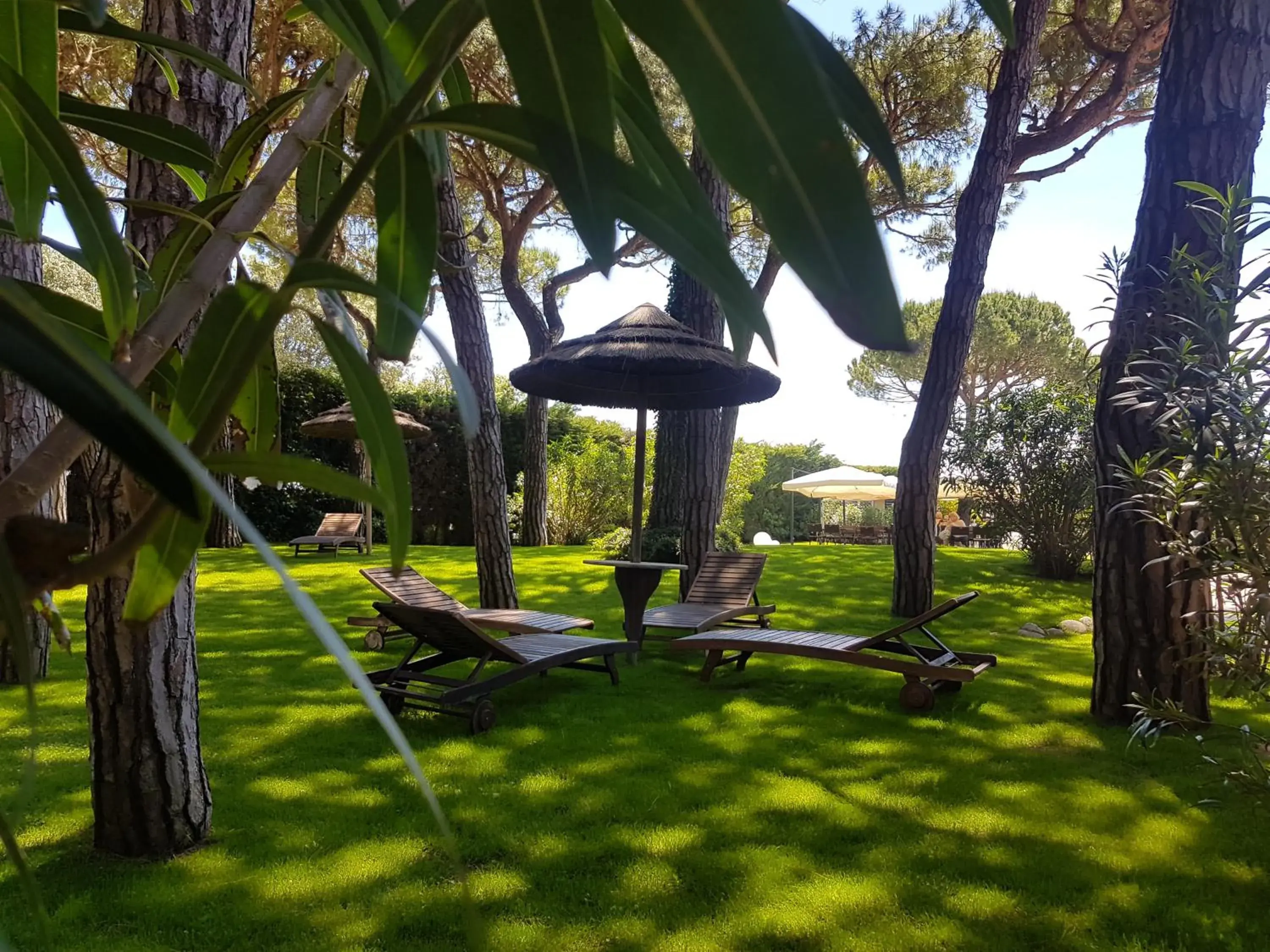 Garden in Hotel Gallia & Resort