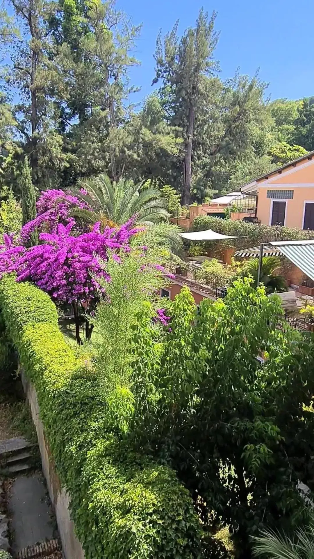 Bird's eye view in Villa Riari Garden