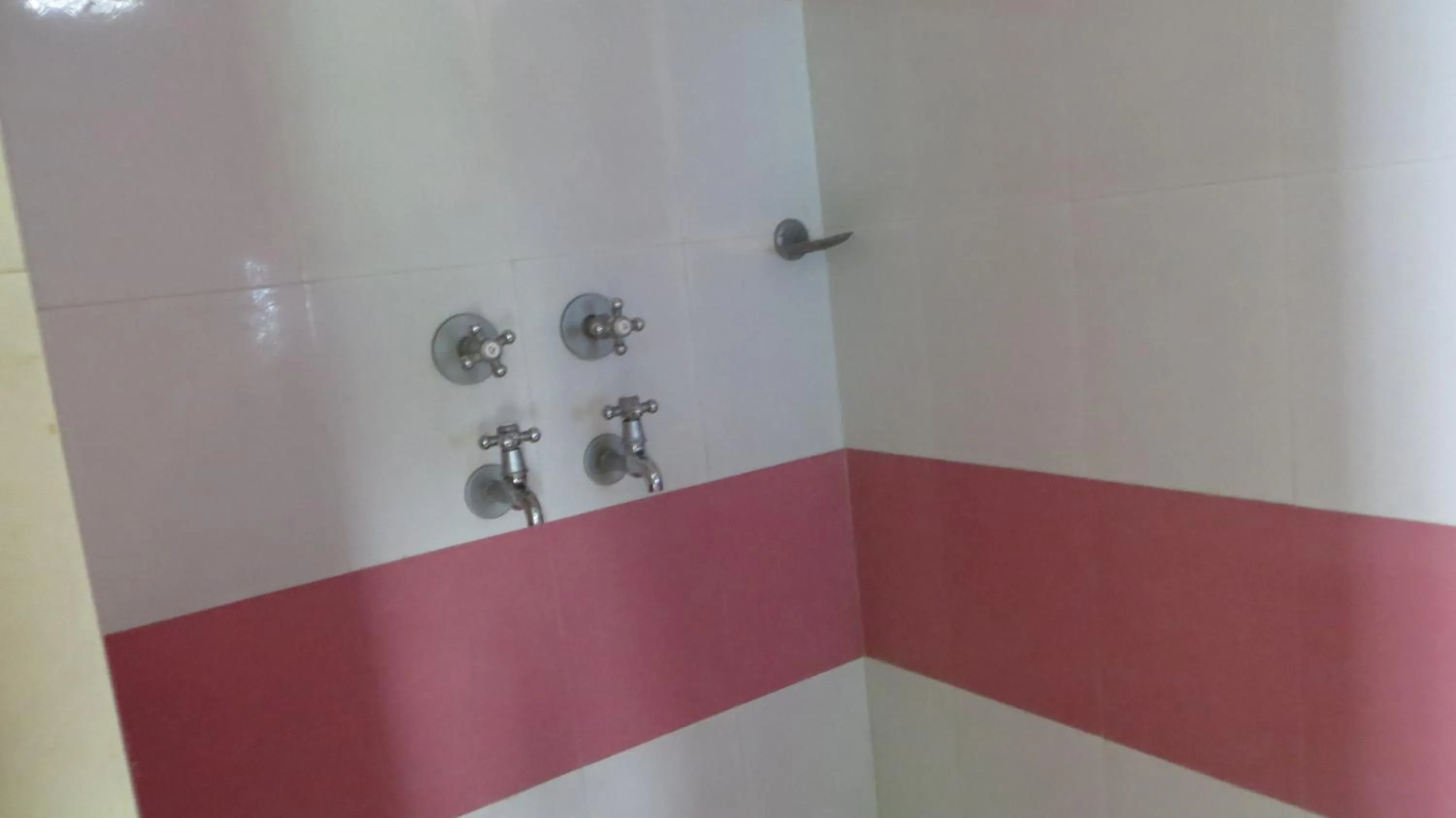 Shower in Udai Haveli Guest House