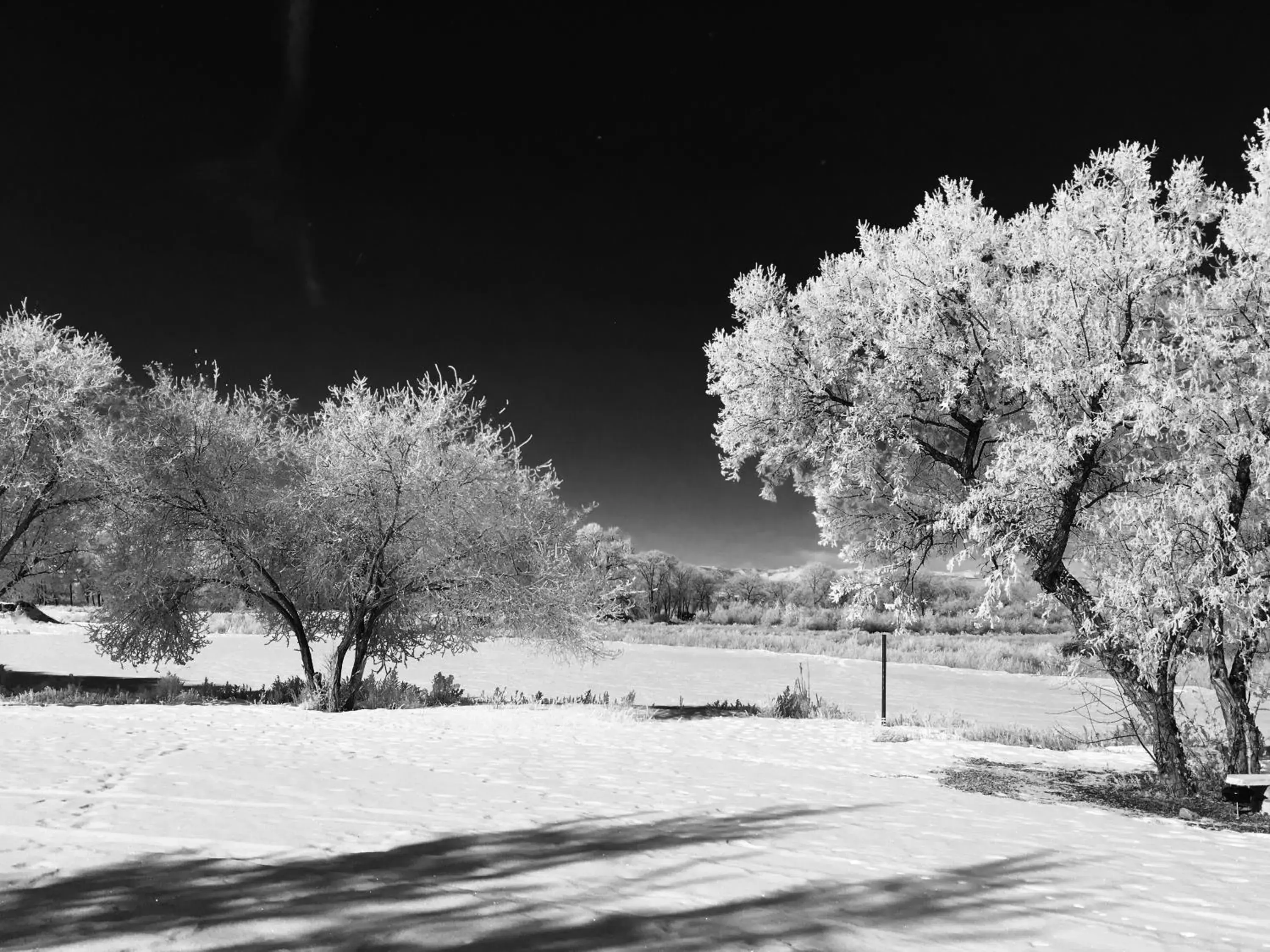 Winter in Legacy Inn