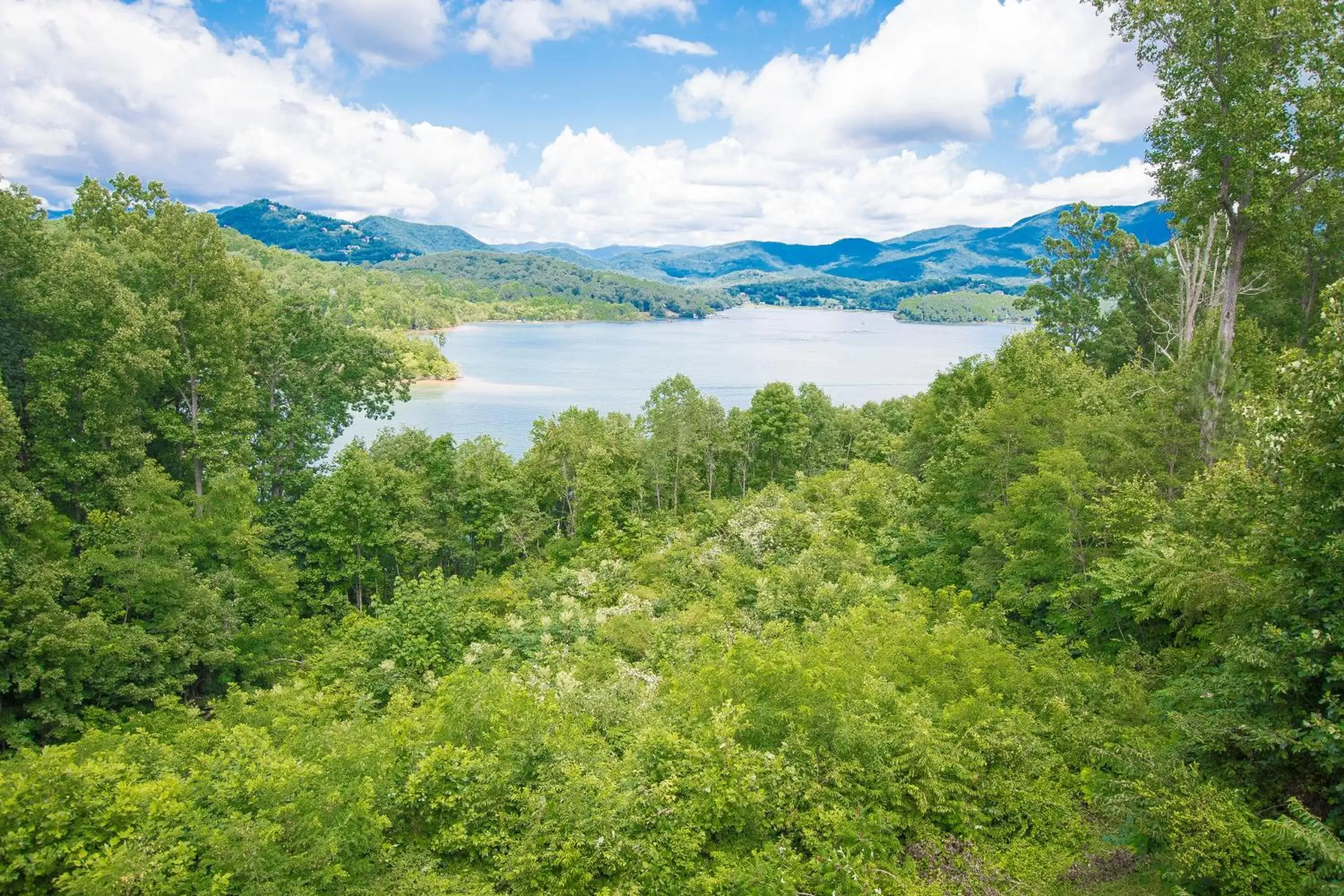 Natural Landscape in Lake Chatuge Lodge