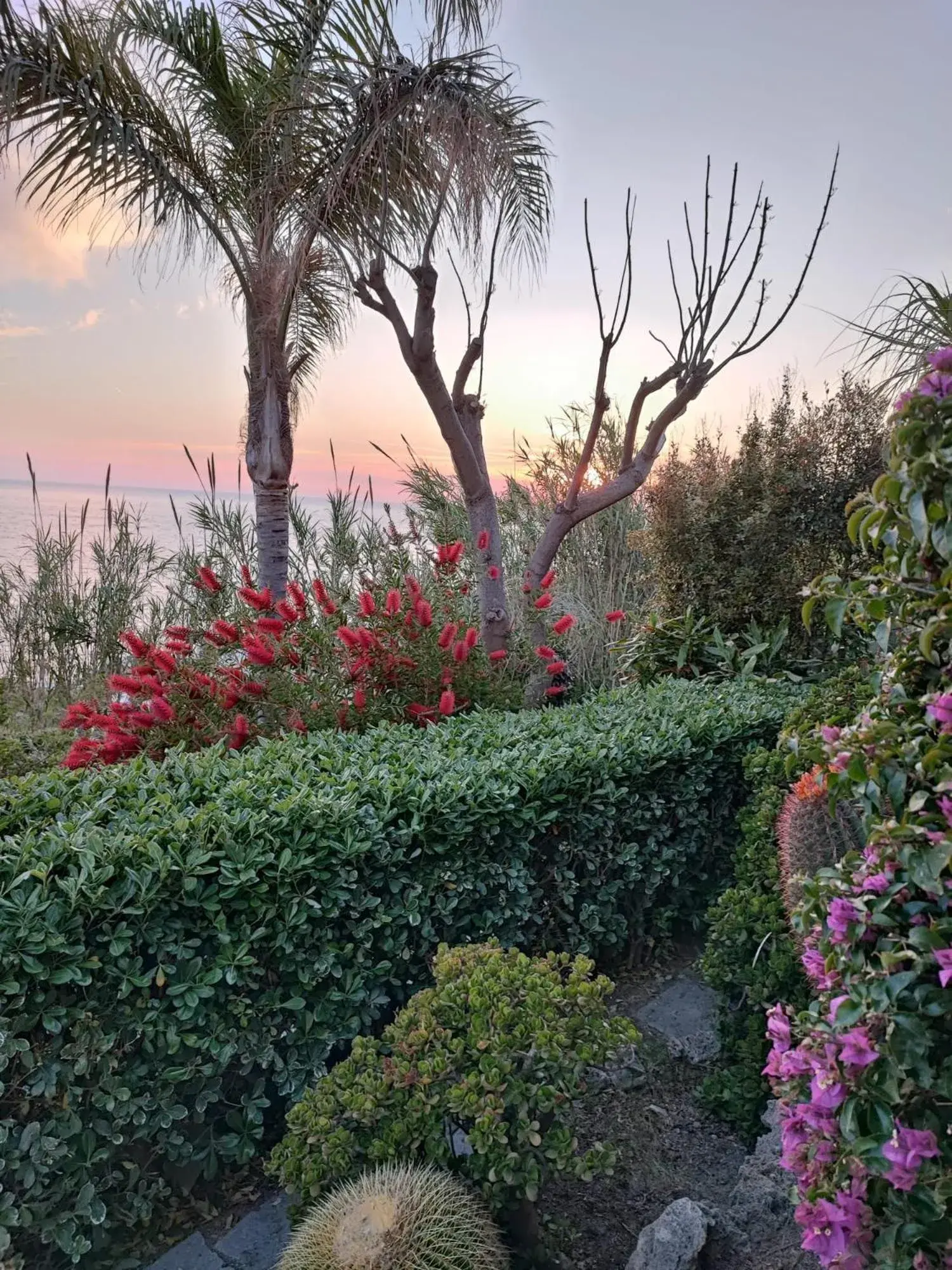 Garden in Hotel Capizzo