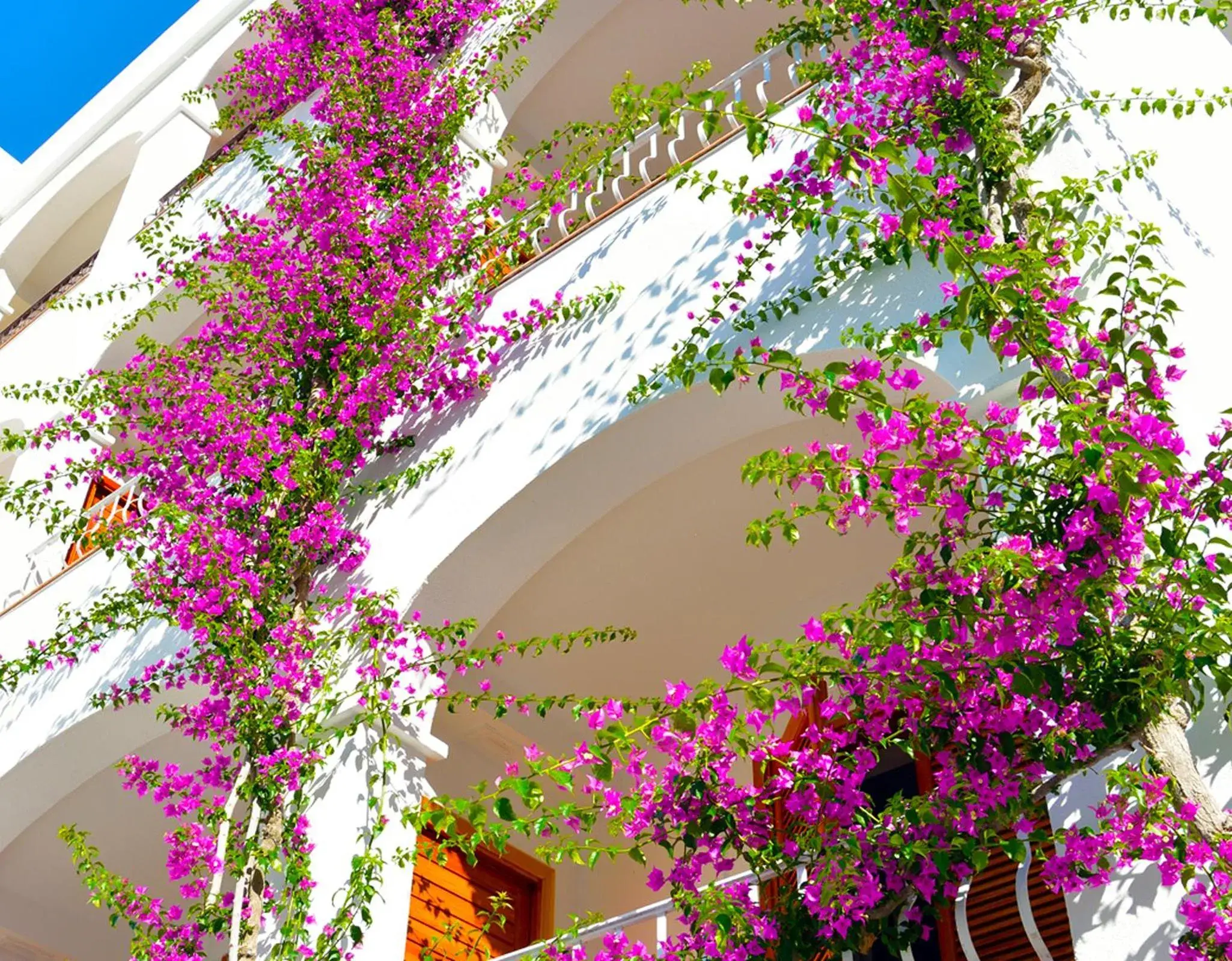 Facade/entrance in Villa Romana Hotel & Spa