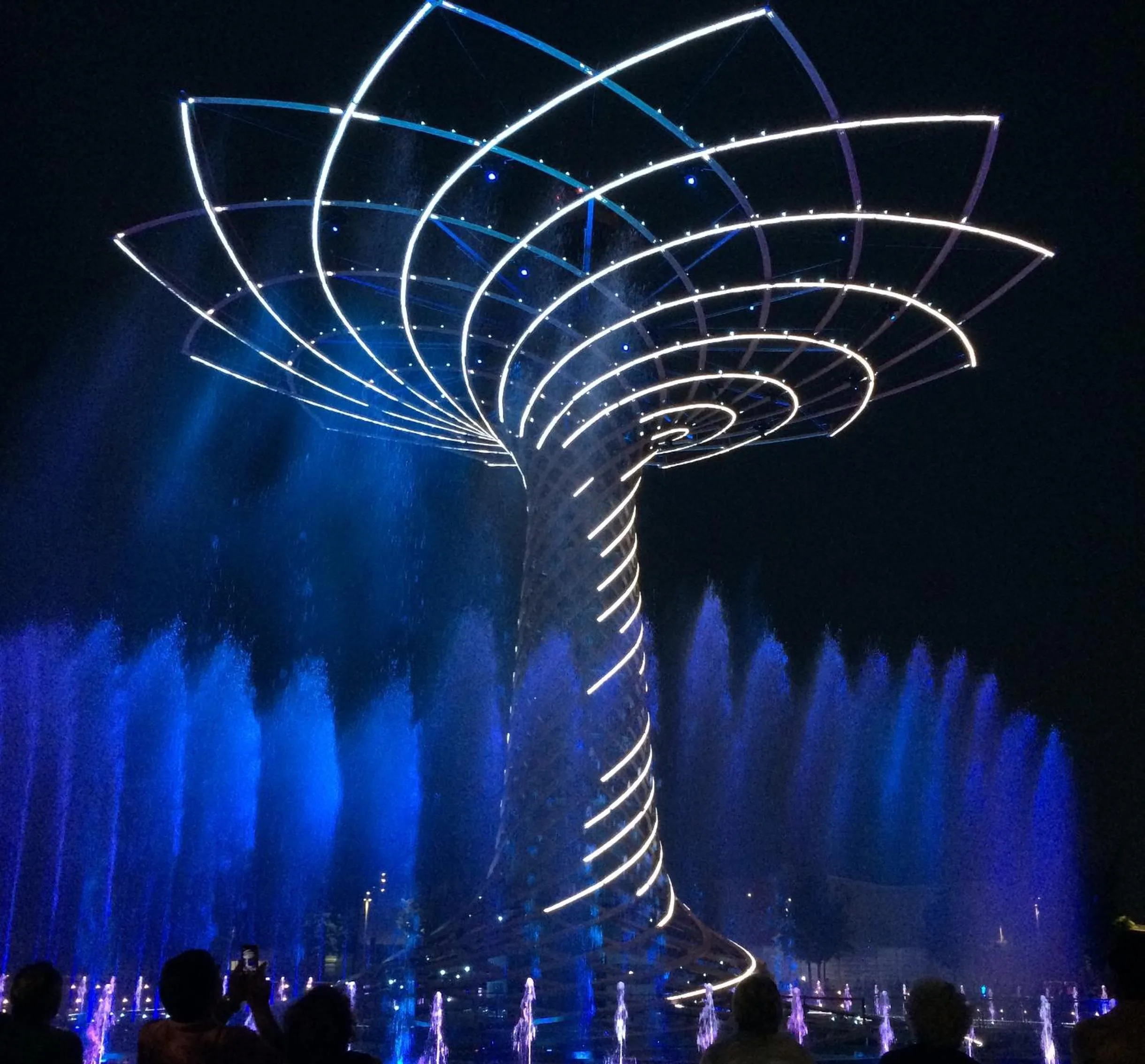 Activities in Hotel Paradiso