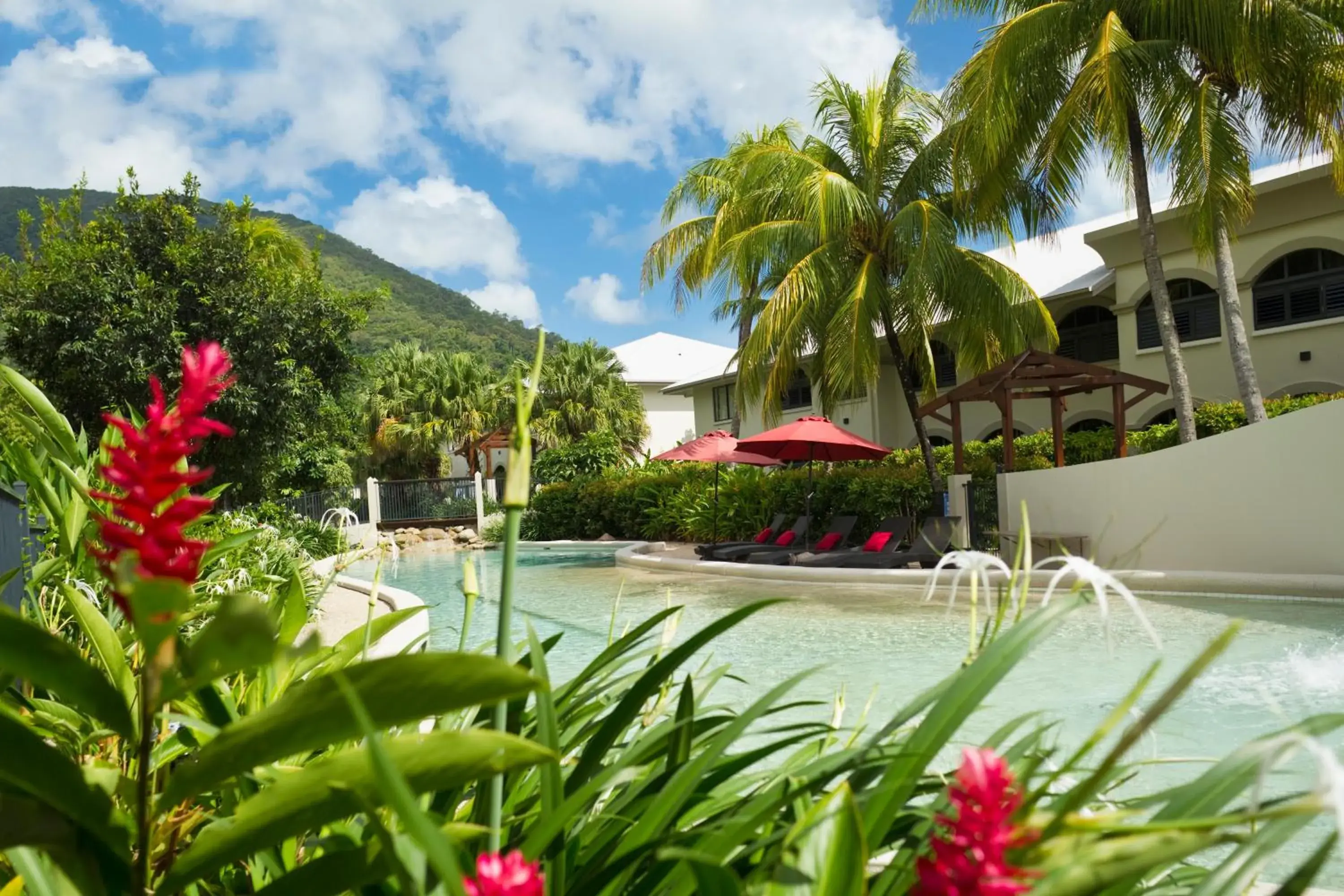 Swimming pool in Mango Lagoon Resort & Wellness Spa Swimming pool in Mango Lagoon Resort & Wellness Spa